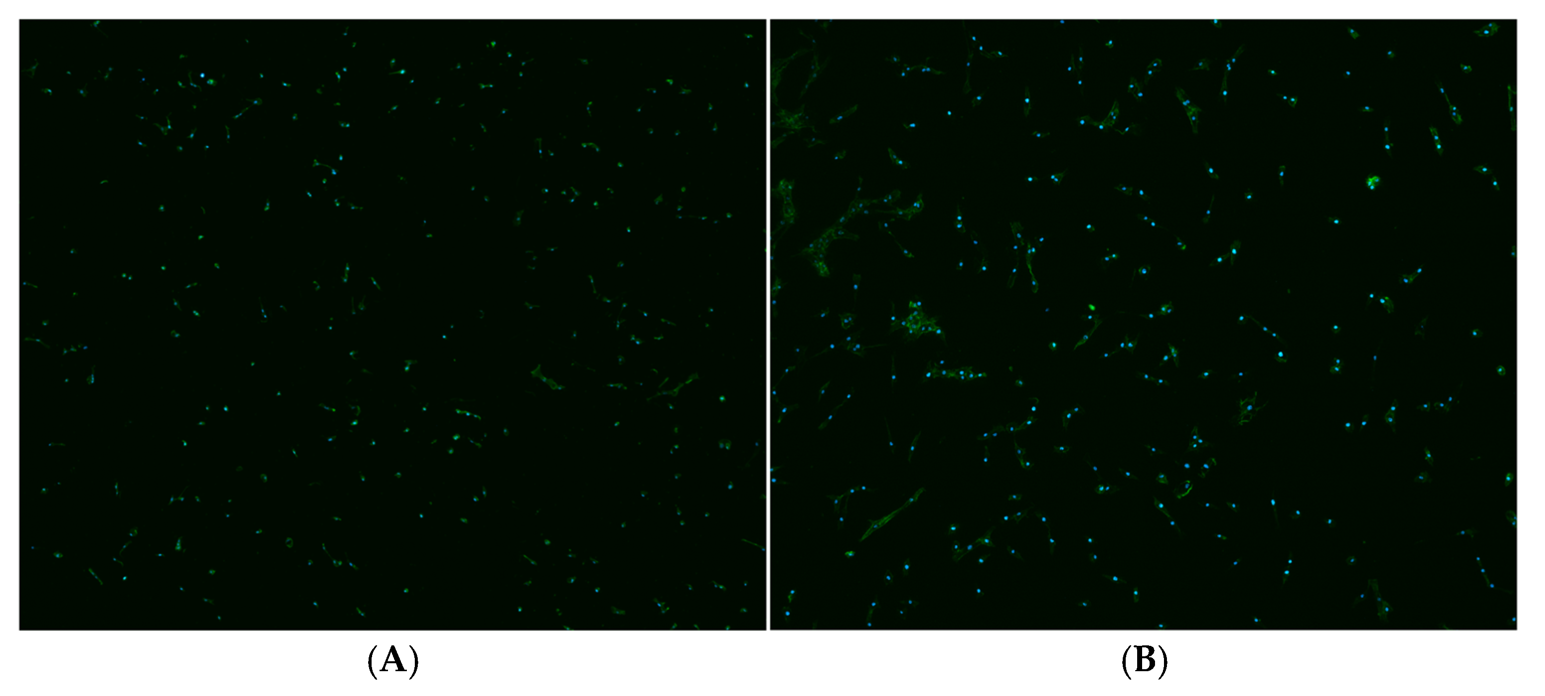 Materials 18 03810 g006a