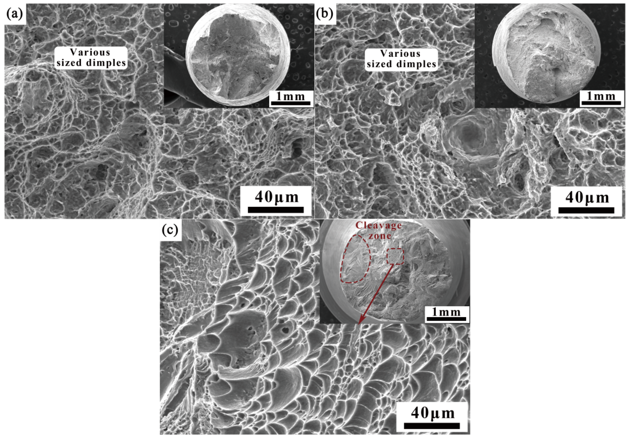 Materials 18 03848 g011 Materials 18 03848 g011