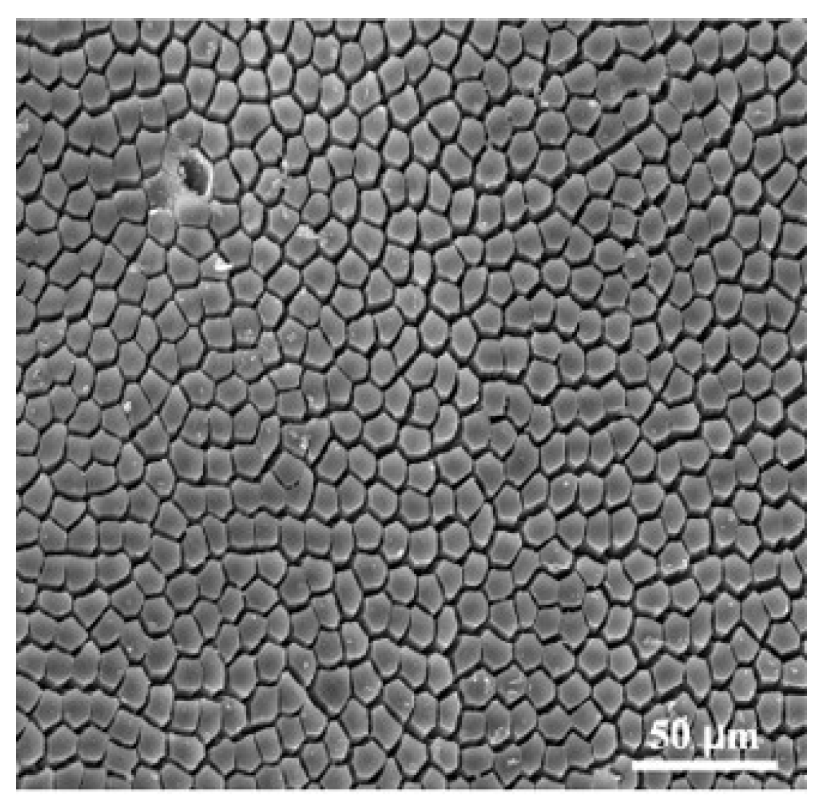 Materials 18 03861 g001 Materials 18 03861 g001