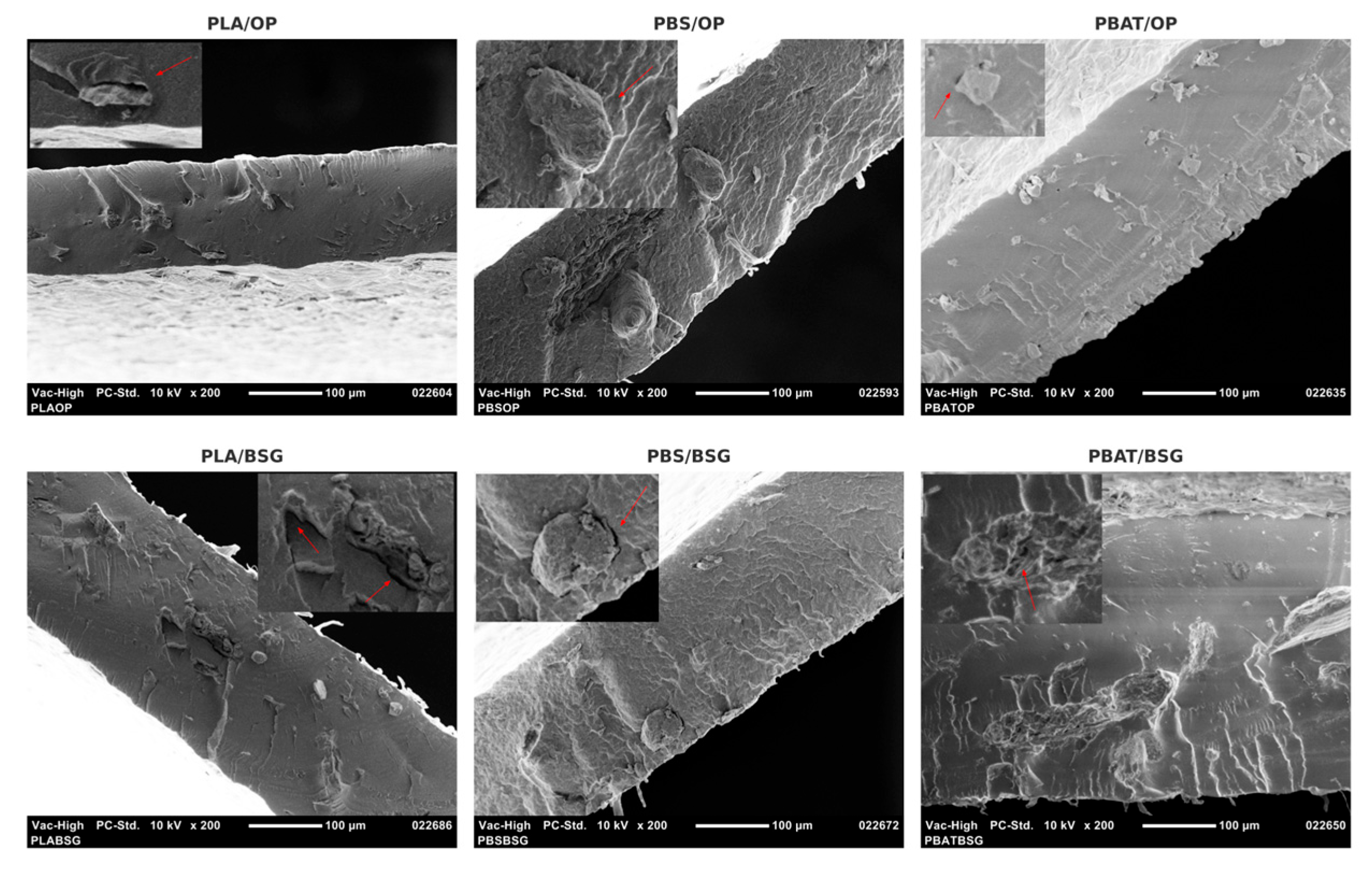 Materials 18 03867 g011