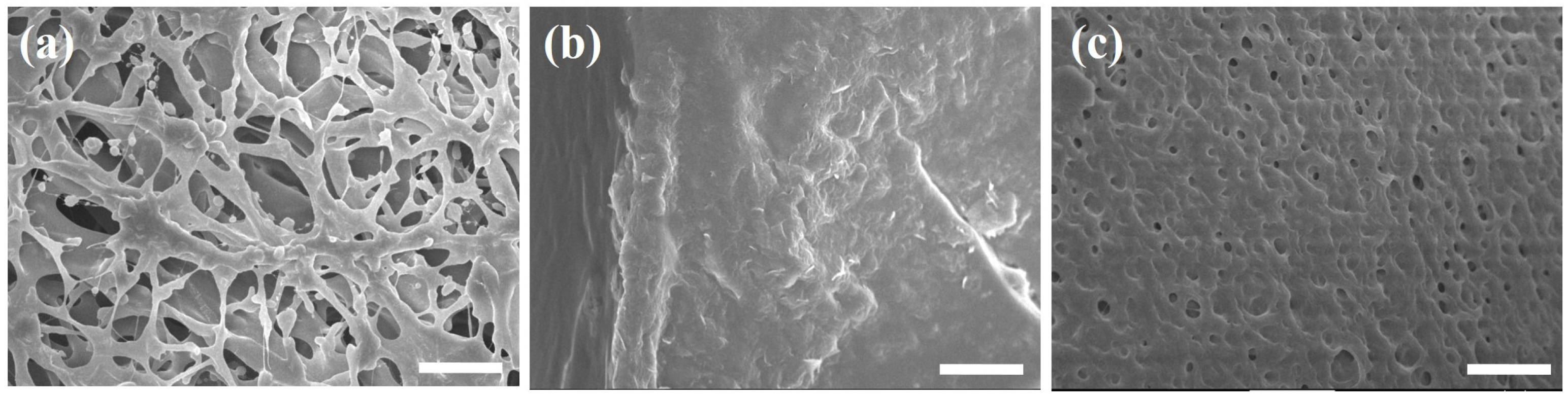 Materials 18 03871 g004