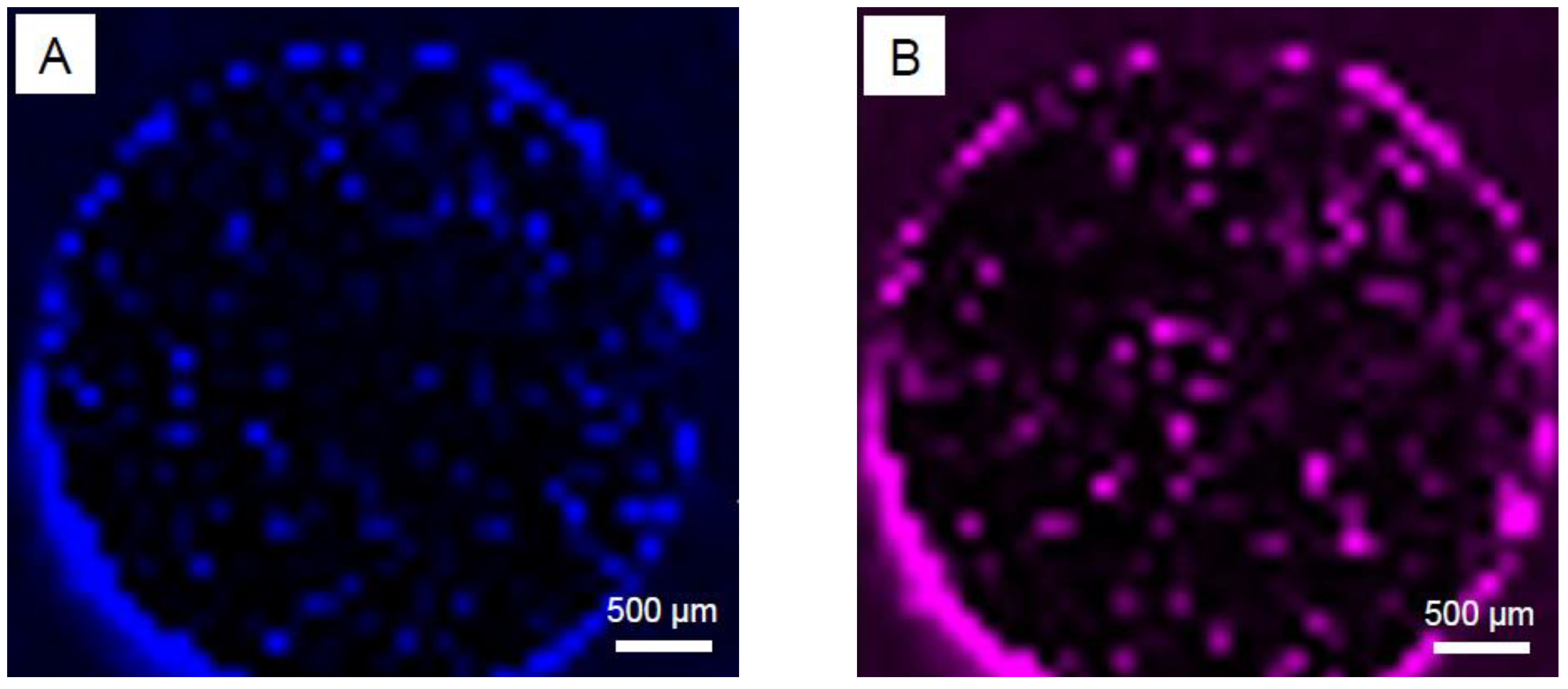 Materials 18 03873 g004
