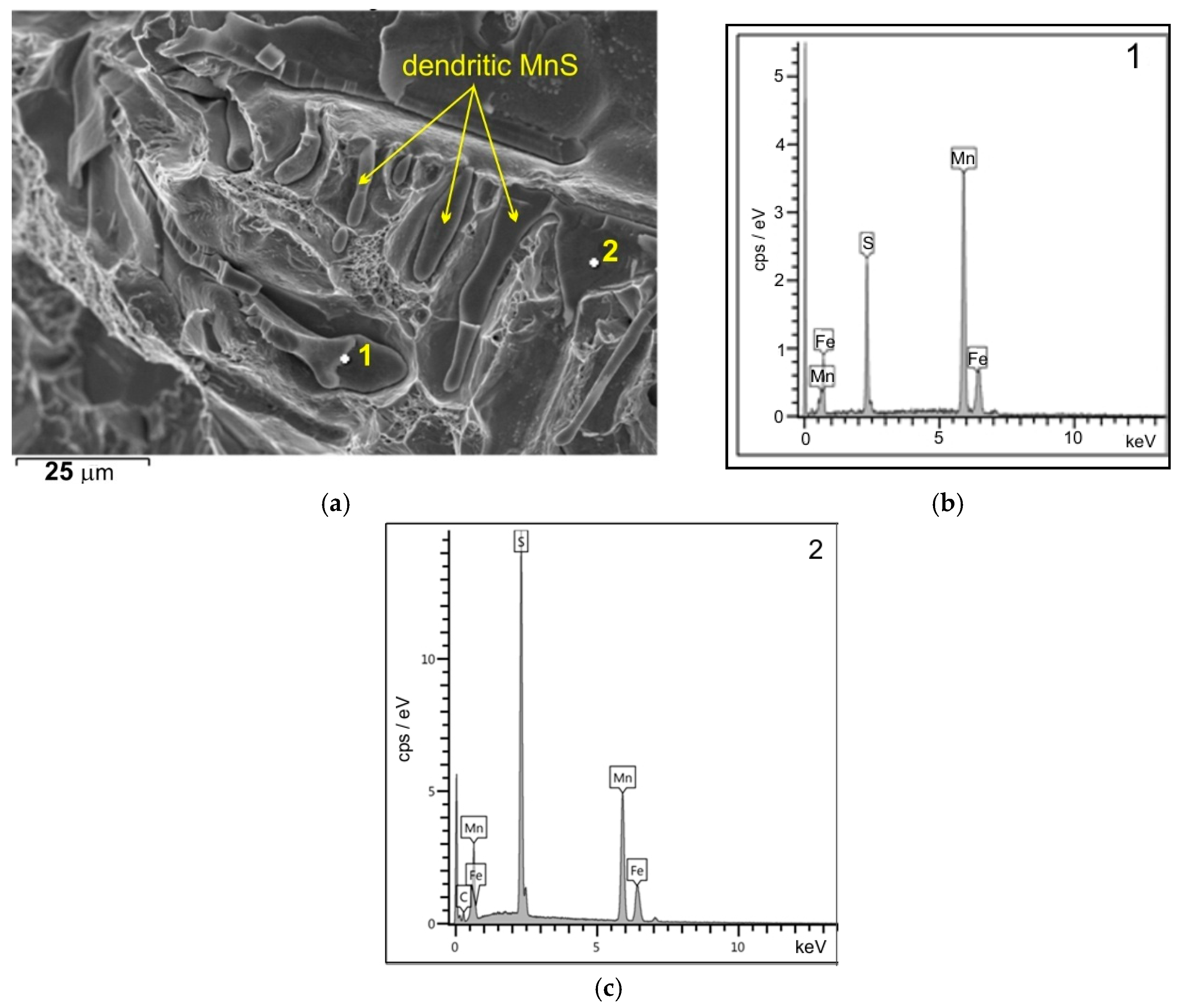Materials 18 03877 g015 Materials 18 03877 g015