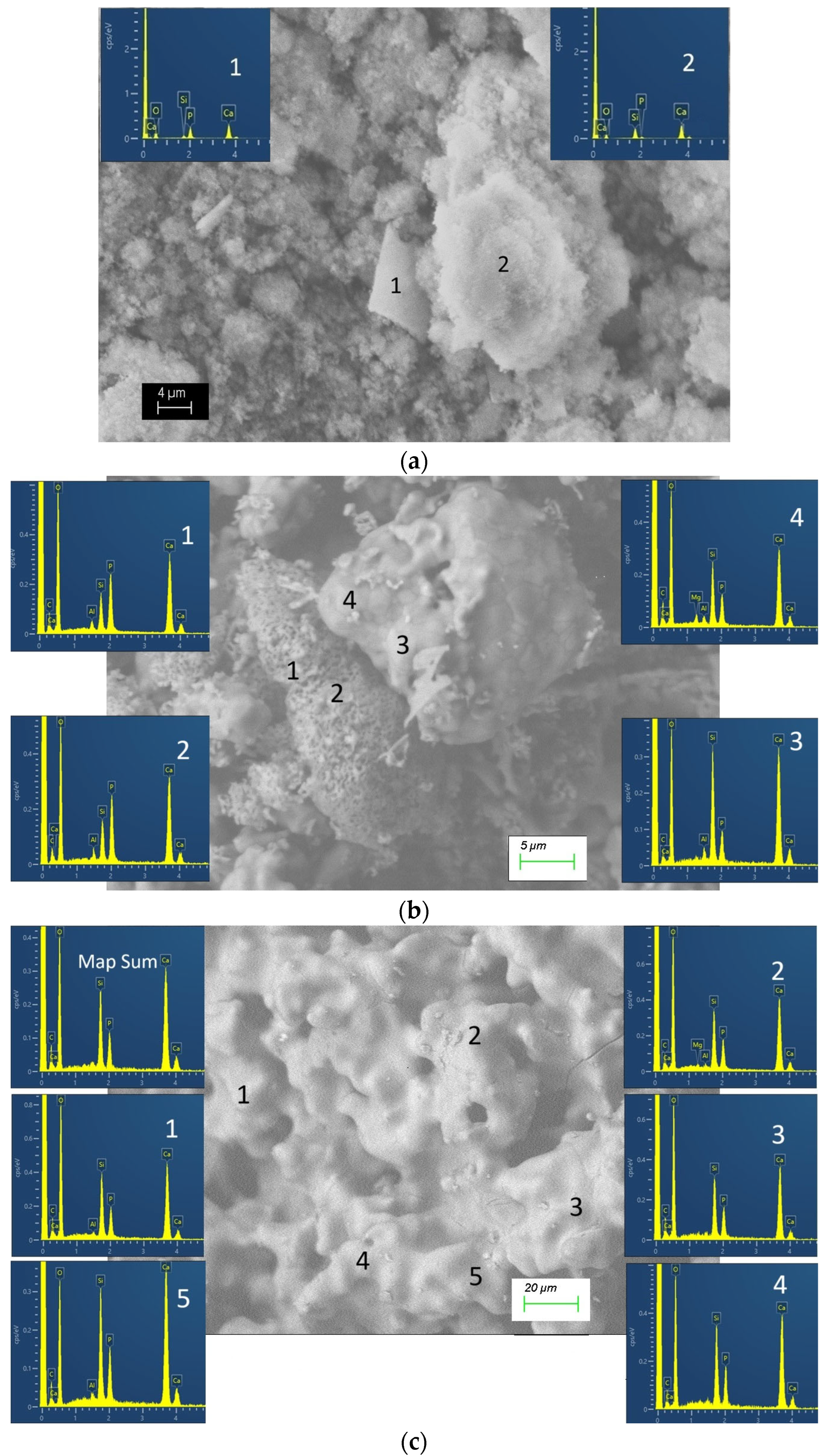 Materials 18 03887 g008