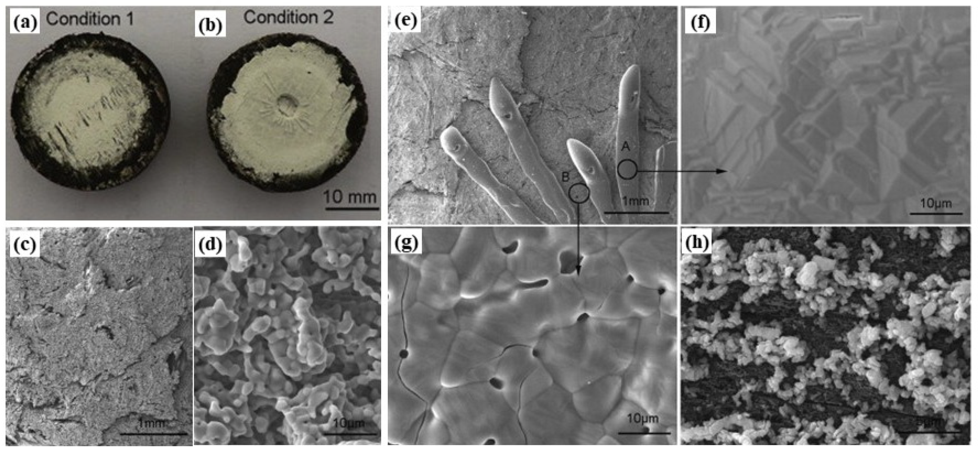 Materials 18 03891 g011 Materials 18 03891 g011