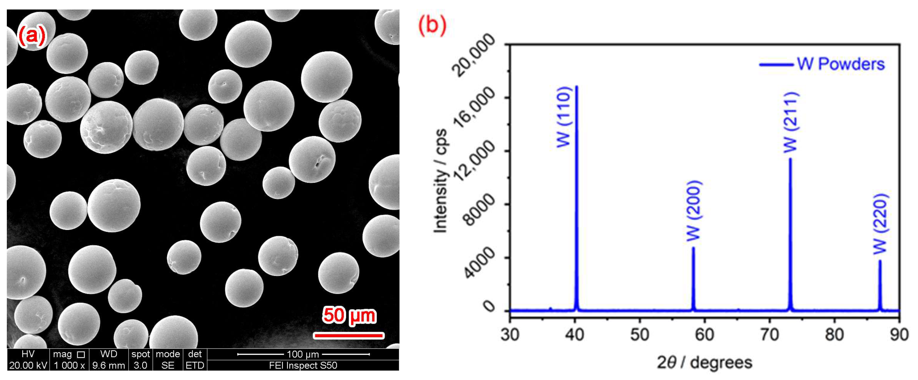 Materials 18 03910 g001 Materials 18 03910 g001
