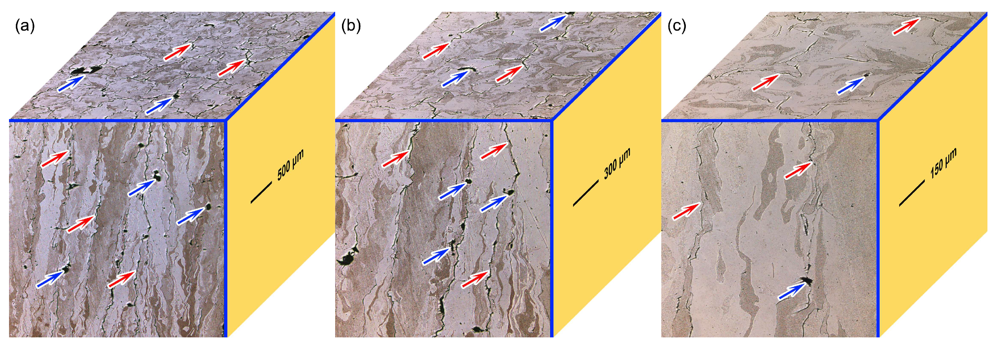 Materials 18 03910 g004 Materials 18 03910 g004