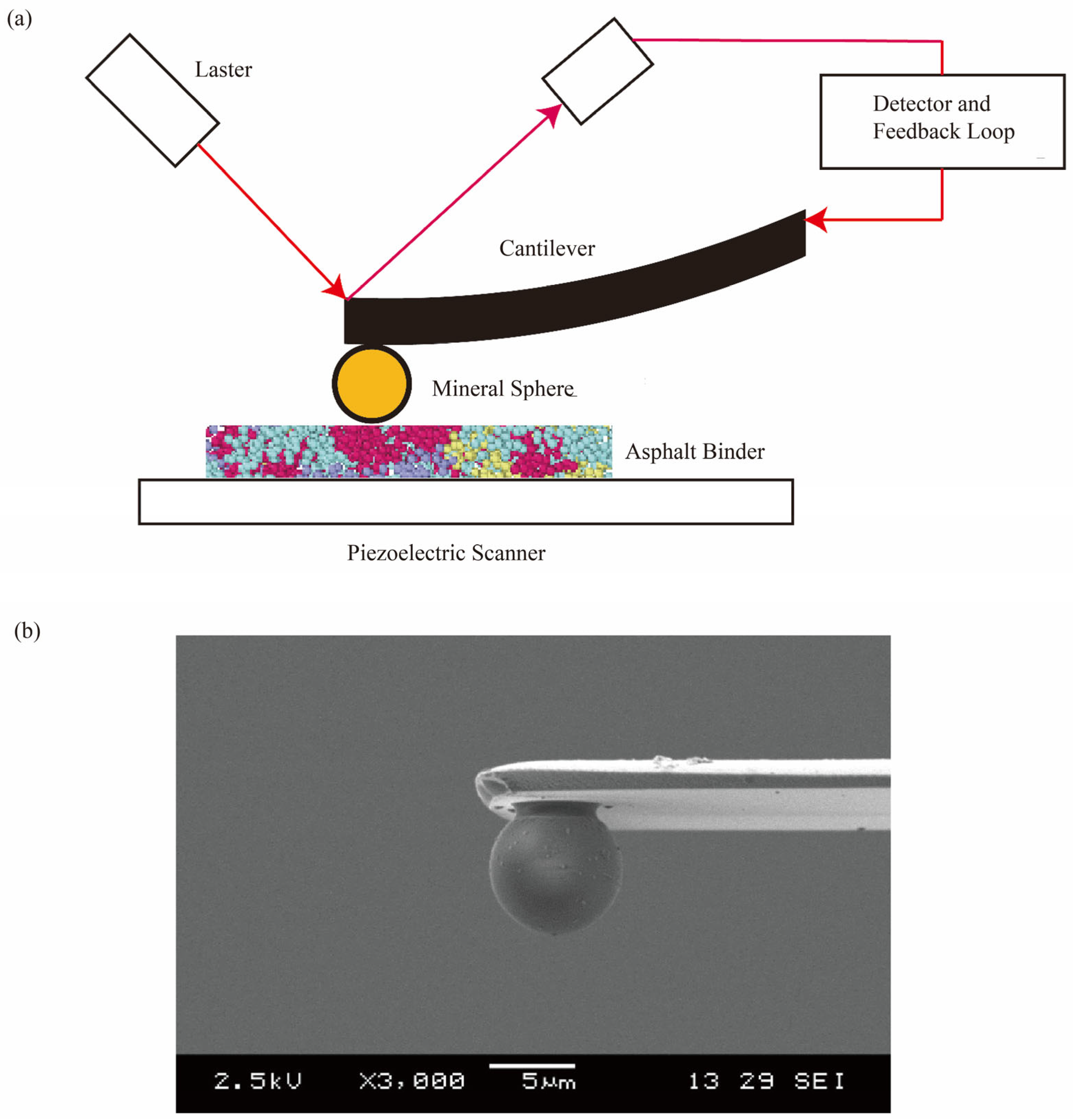 Materials 18 03936 g002