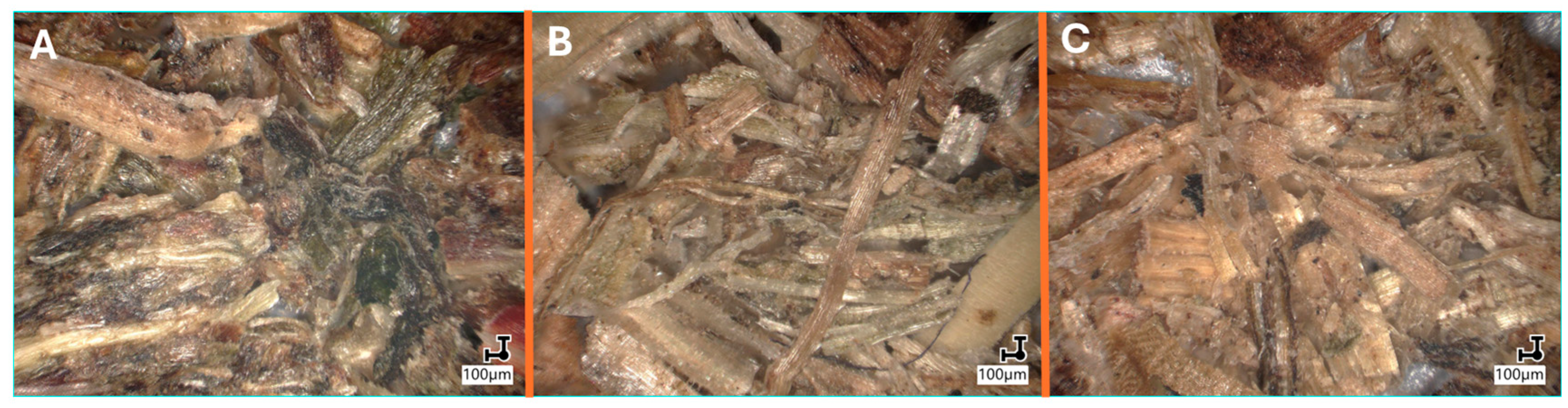 Materials 18 03952 g004 Materials 18 03952 g004