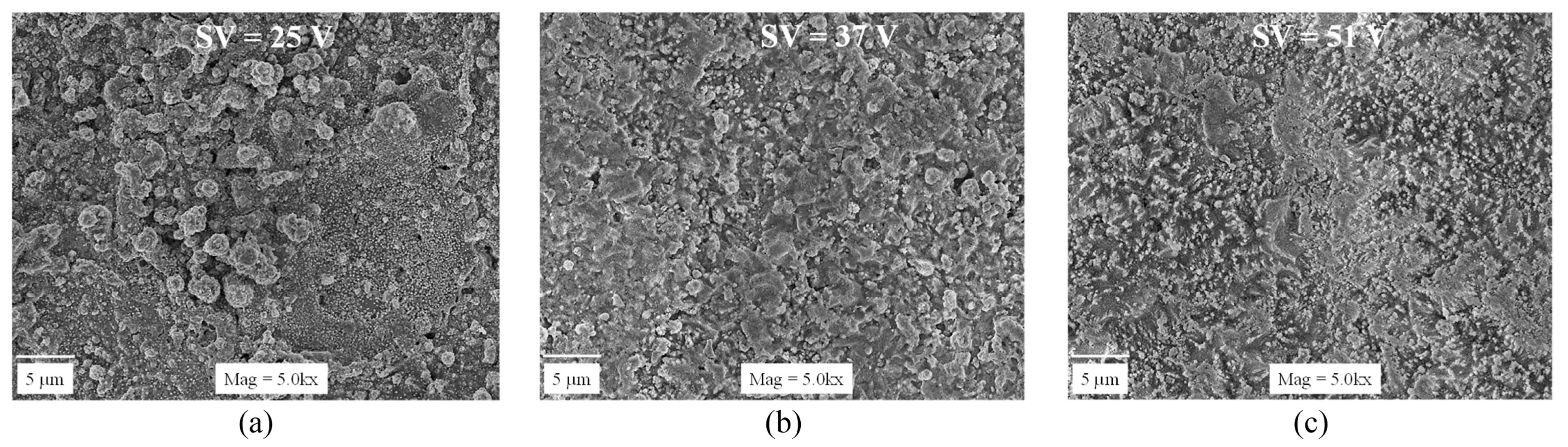 Materials 18 03955 g007