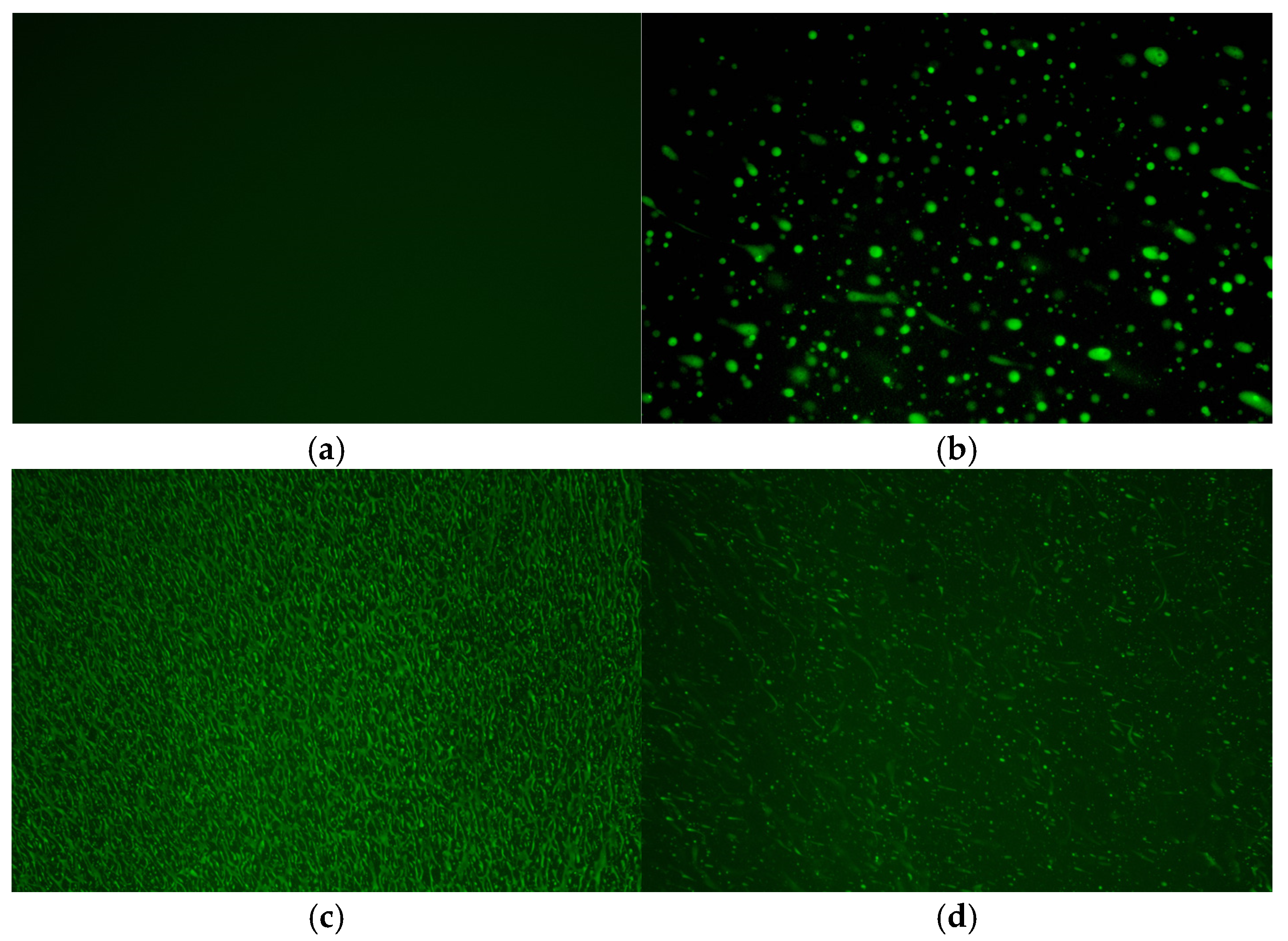 Materials 18 03963 g001