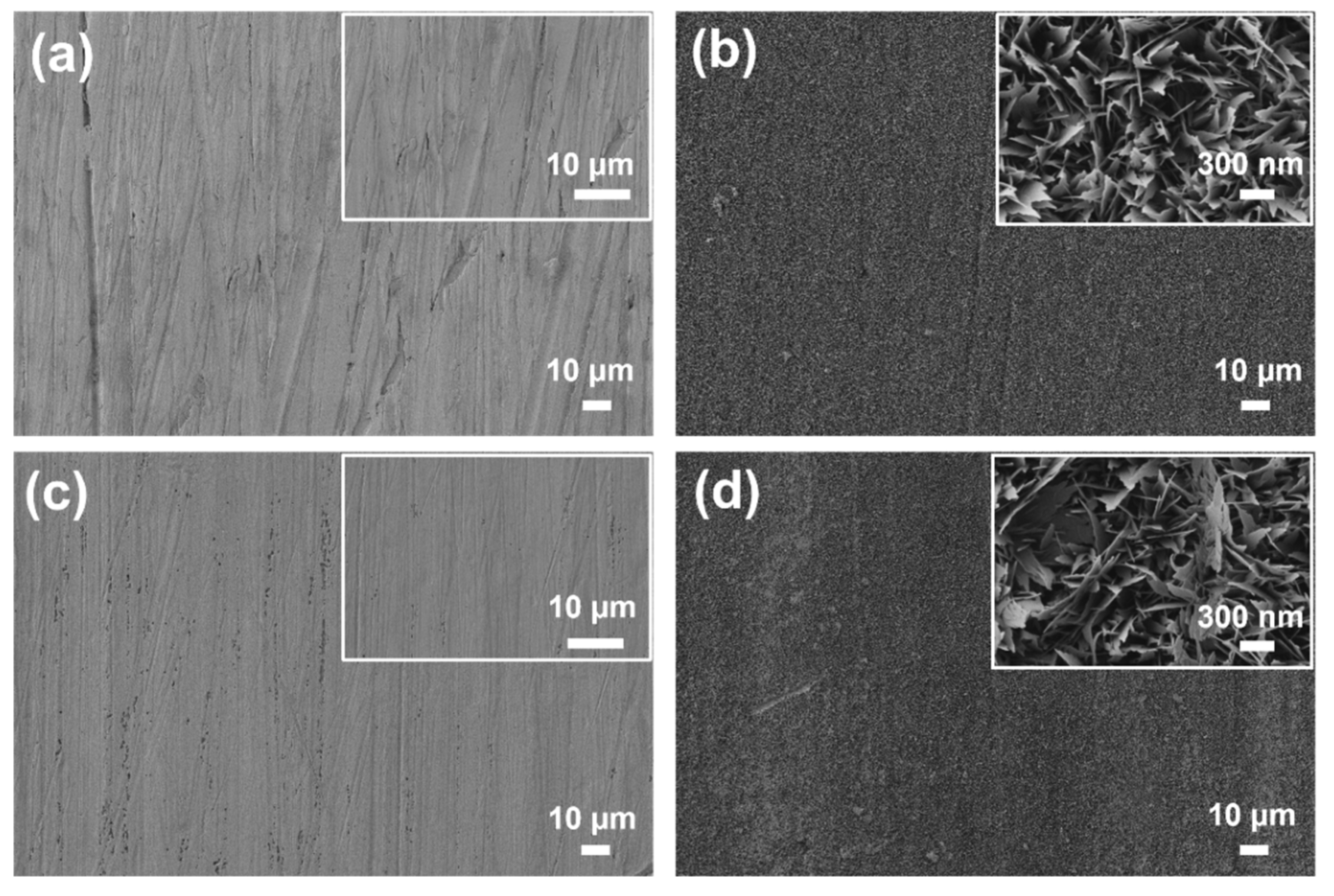 Materials 18 03981 g004