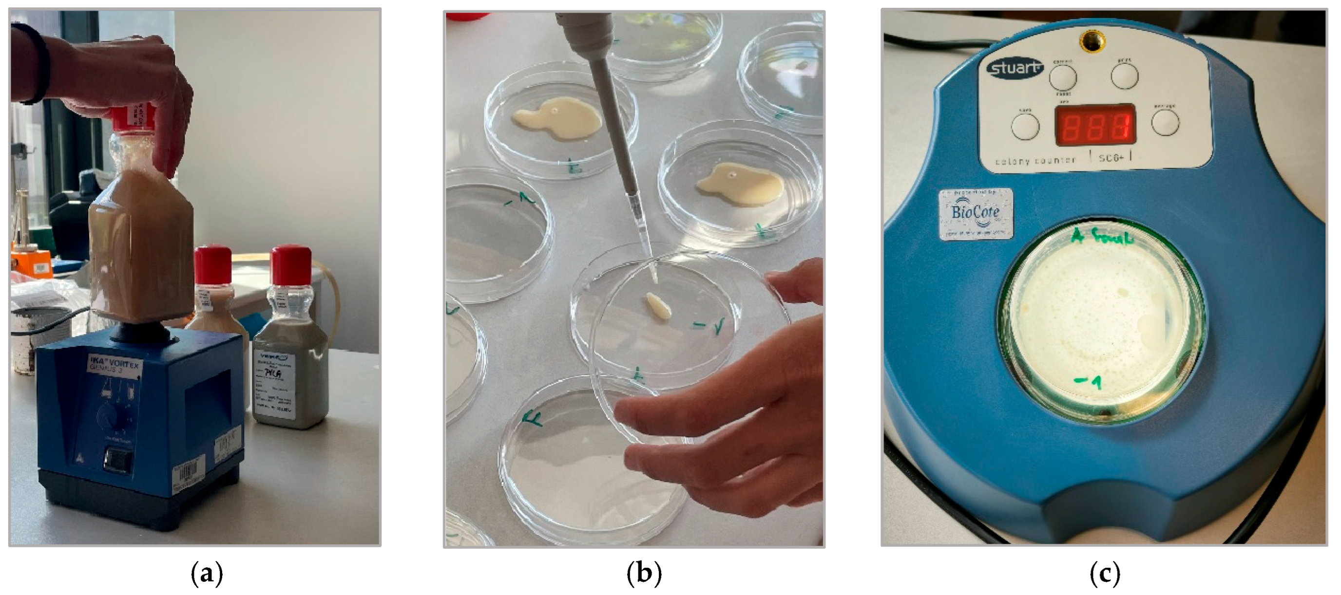 Materials 18 03988 g002