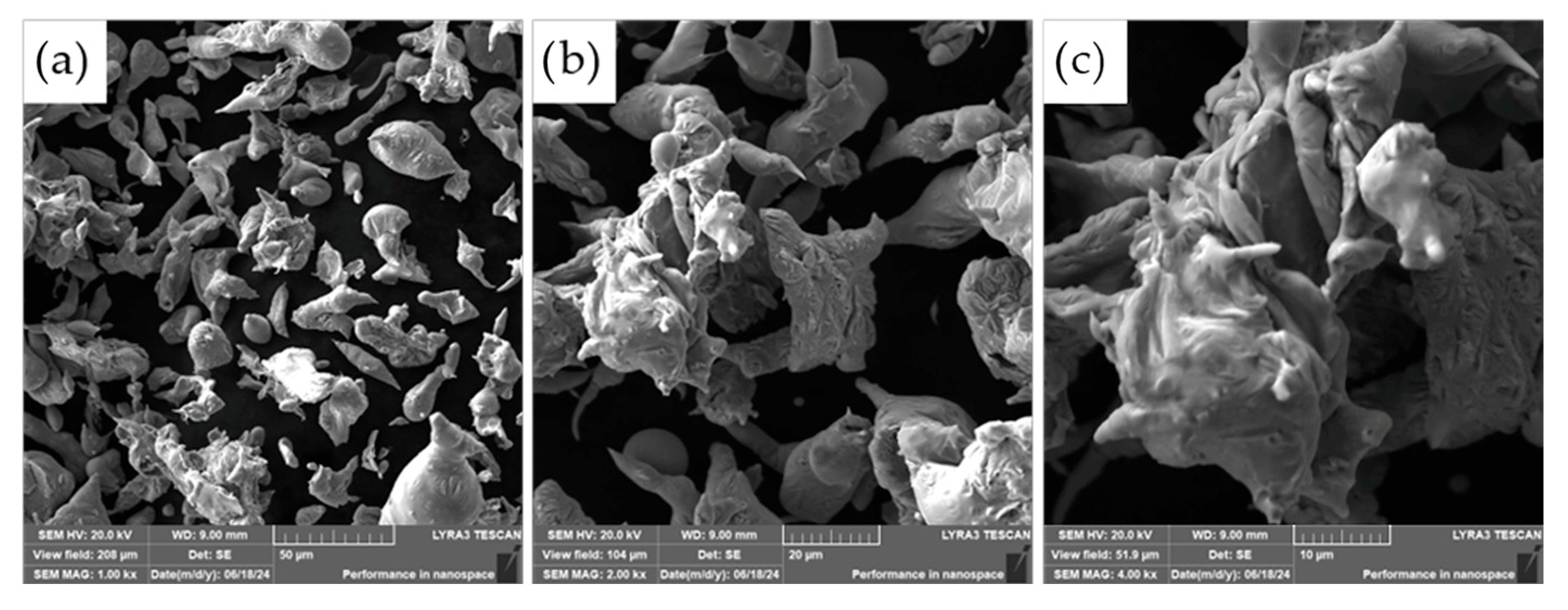 Materials 18 03999 g004