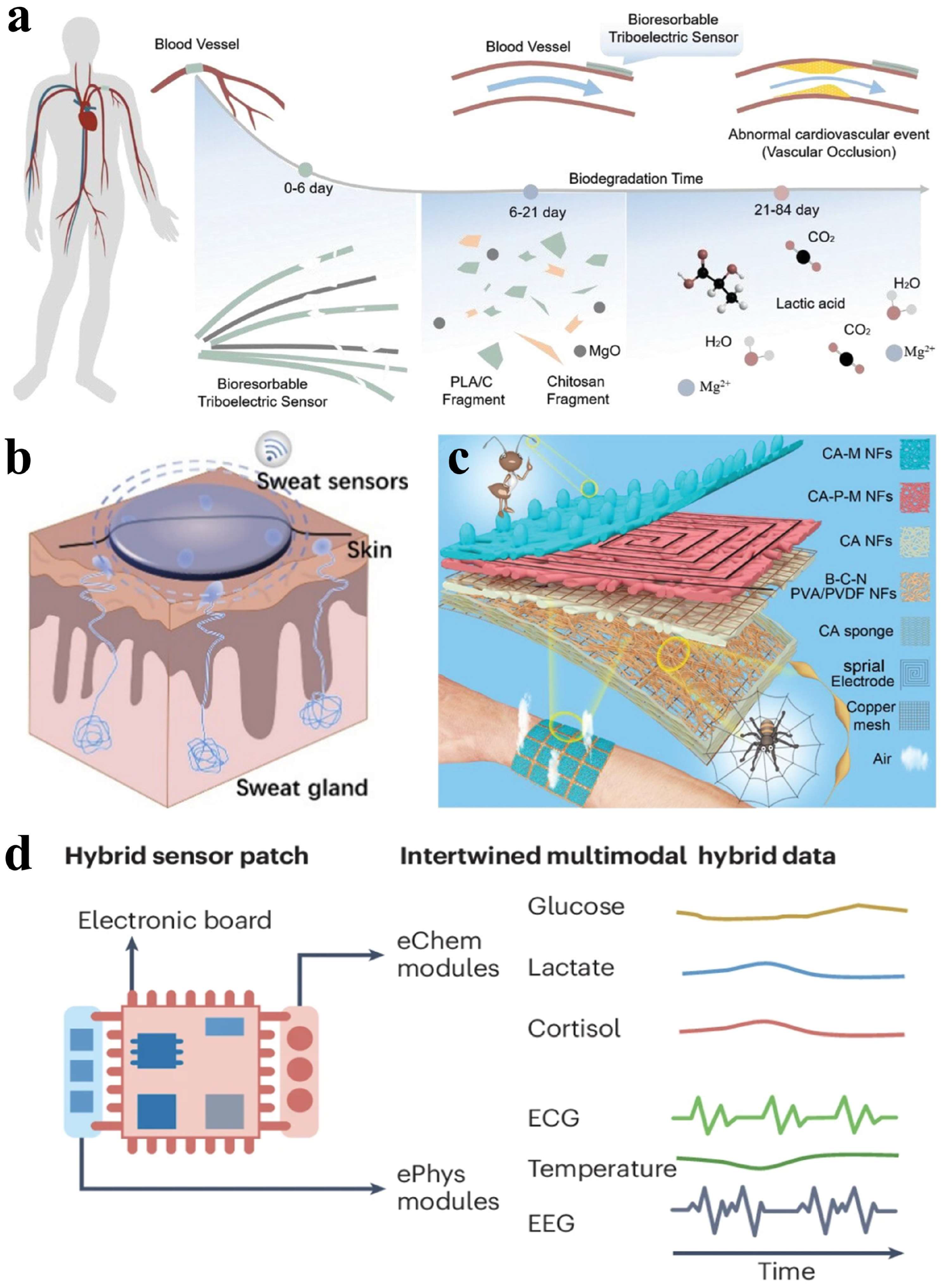 Materials 18 04010 g010 Materials 18 04010 g010