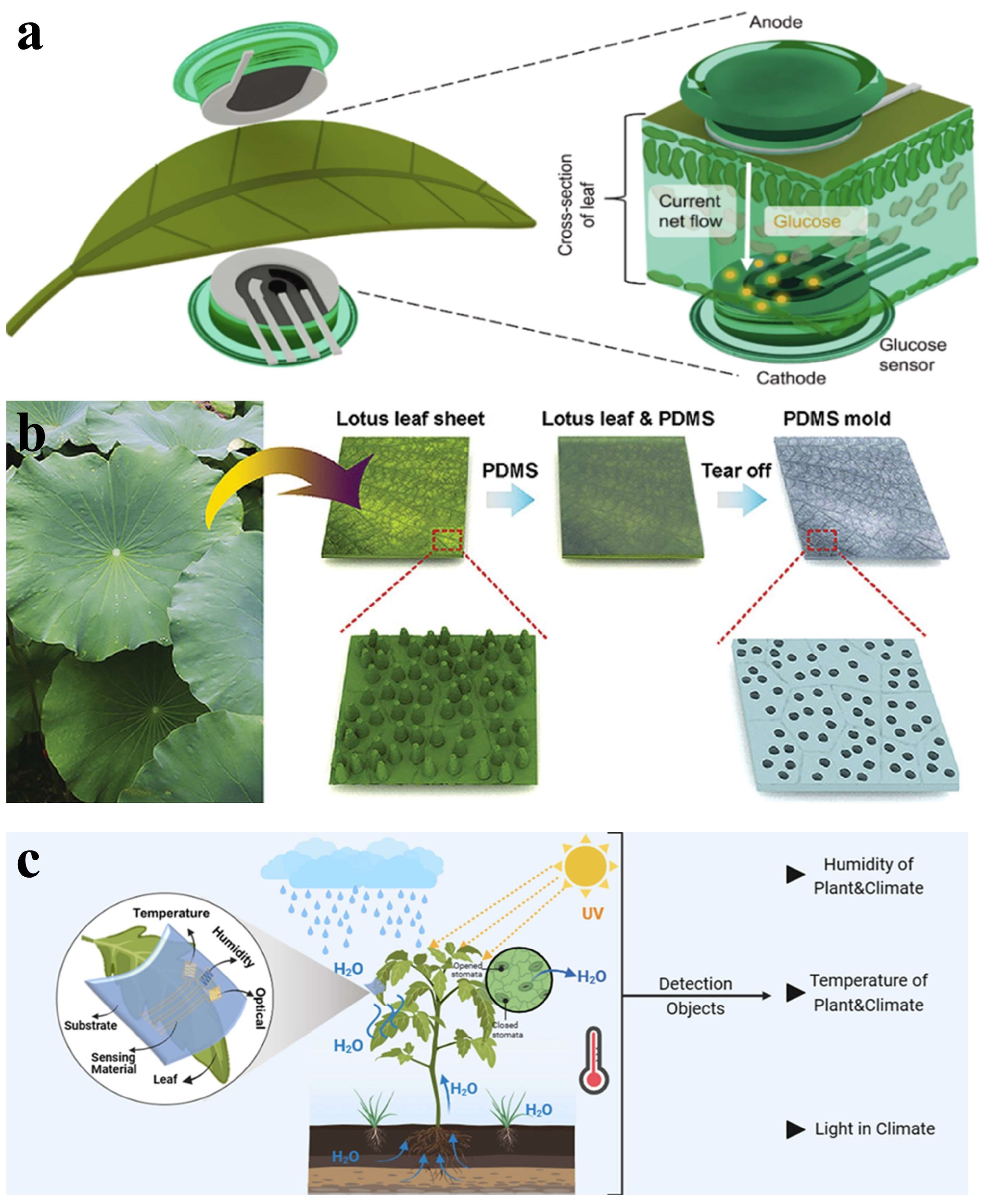 Materials 18 04010 g013 Materials 18 04010 g013