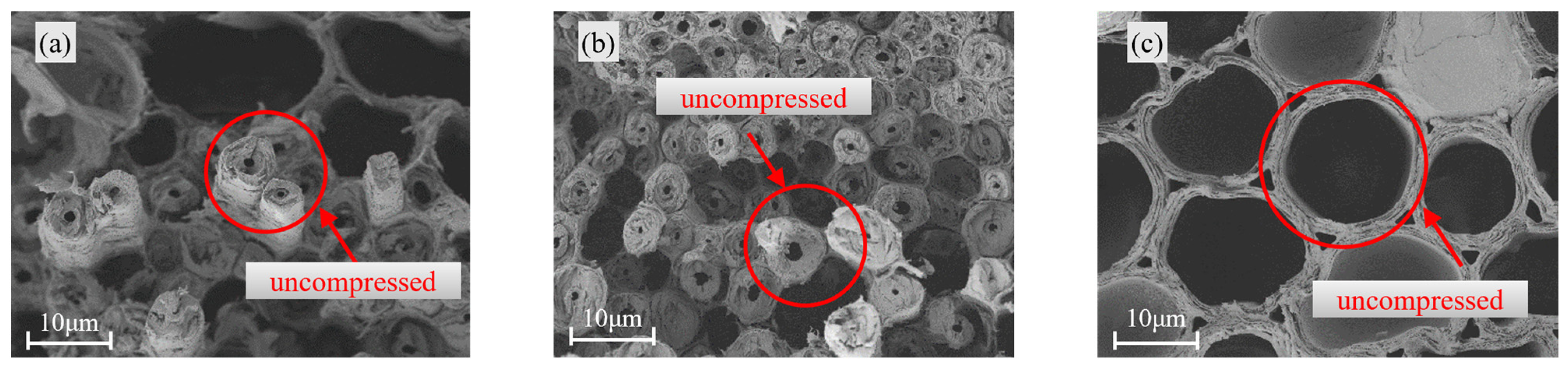 Materials 18 04013 g005