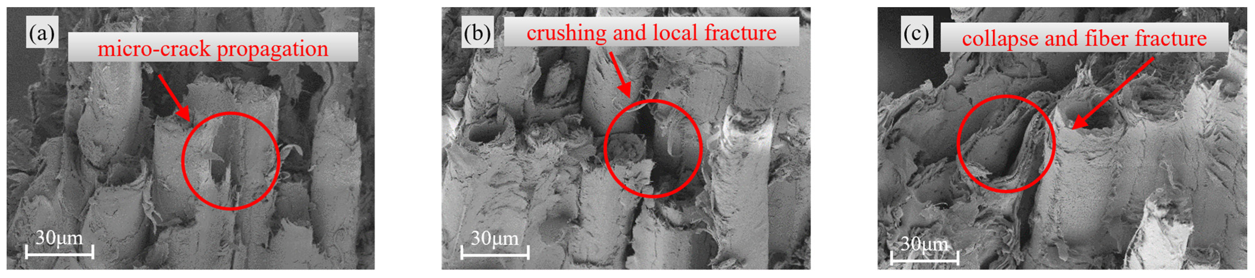 Materials 18 04013 g006