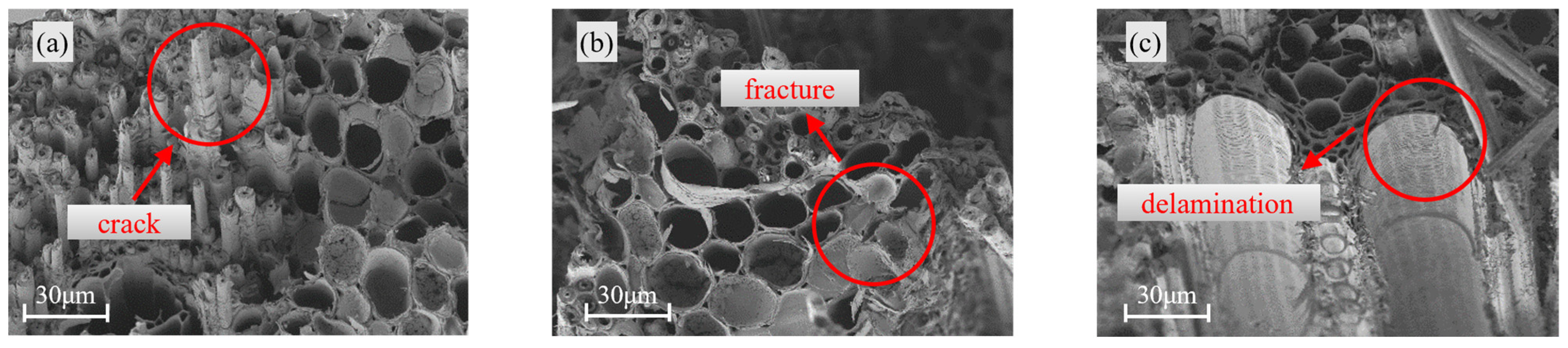 Materials 18 04013 g007