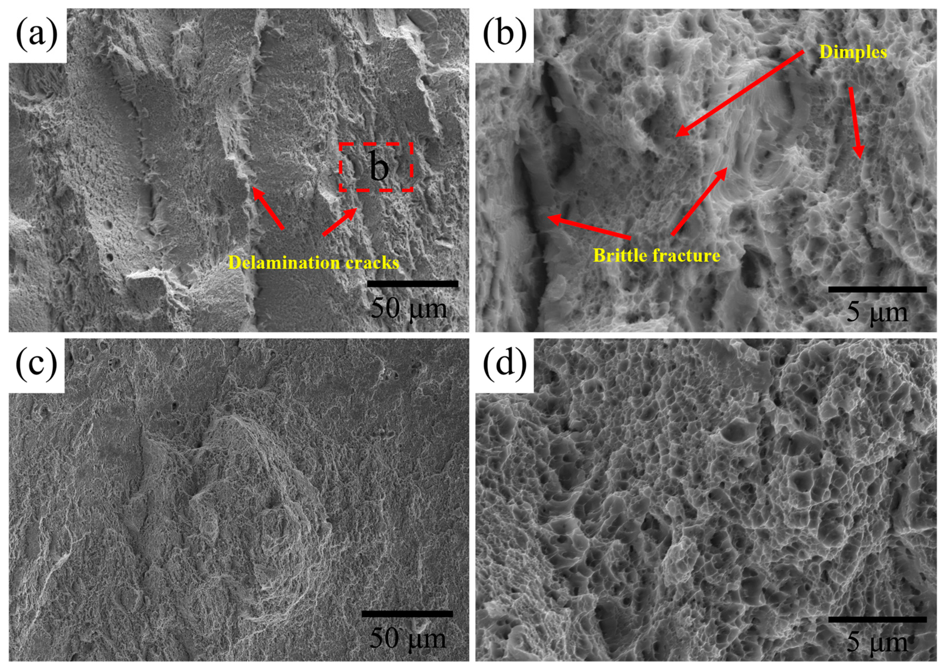 Materials 18 04017 g011 Materials 18 04017 g011