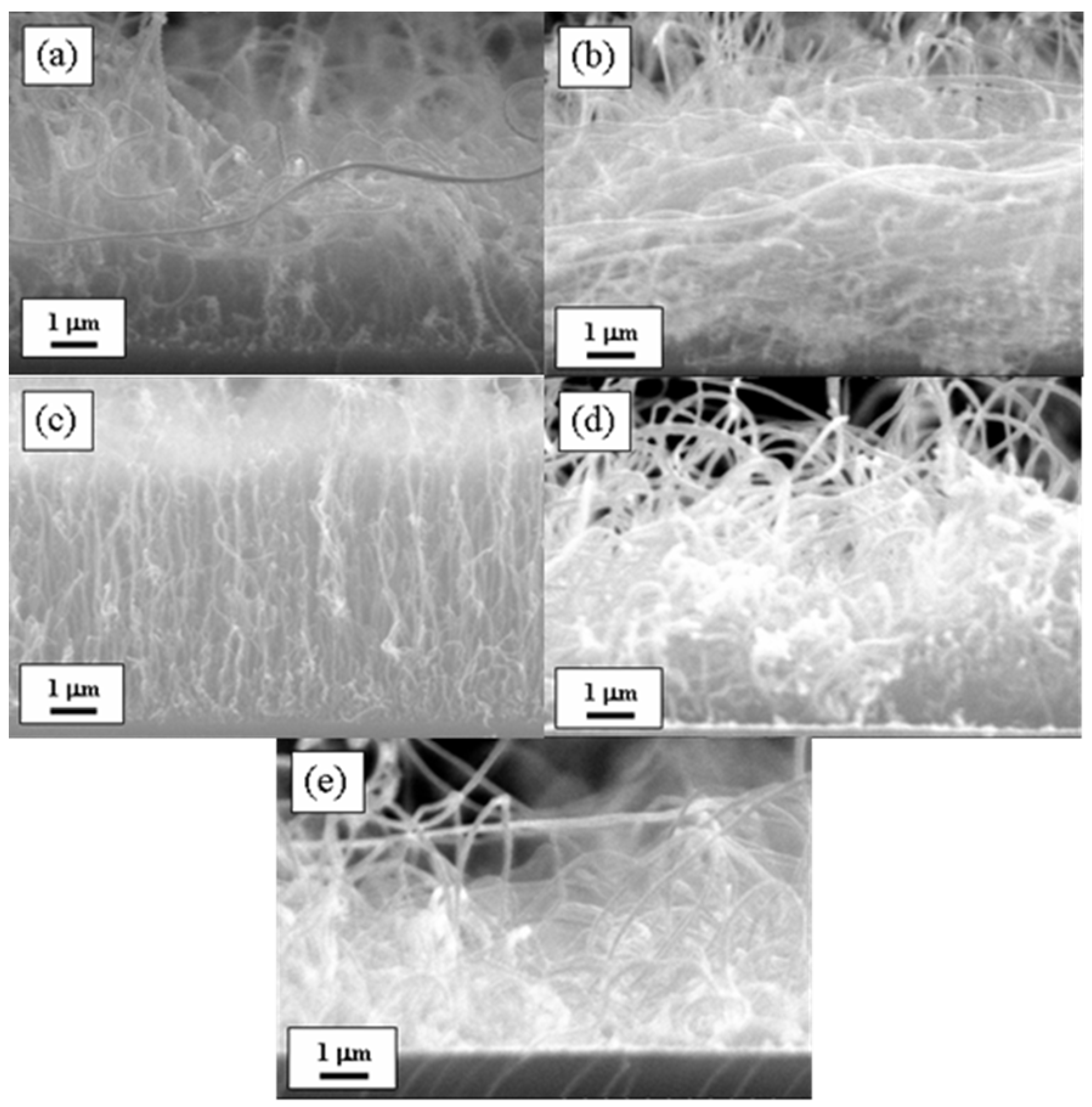 Materials 18 04028 g001 Materials 18 04028 g001