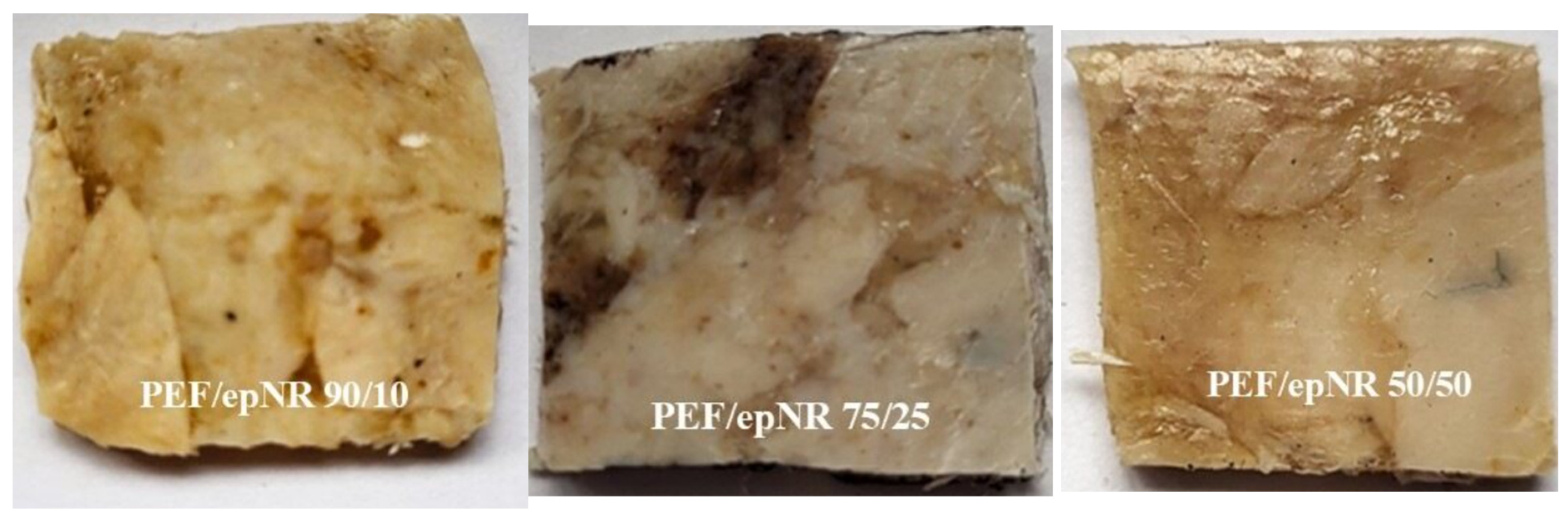 Materials 18 04040 g003a Materials 18 04040 g003a