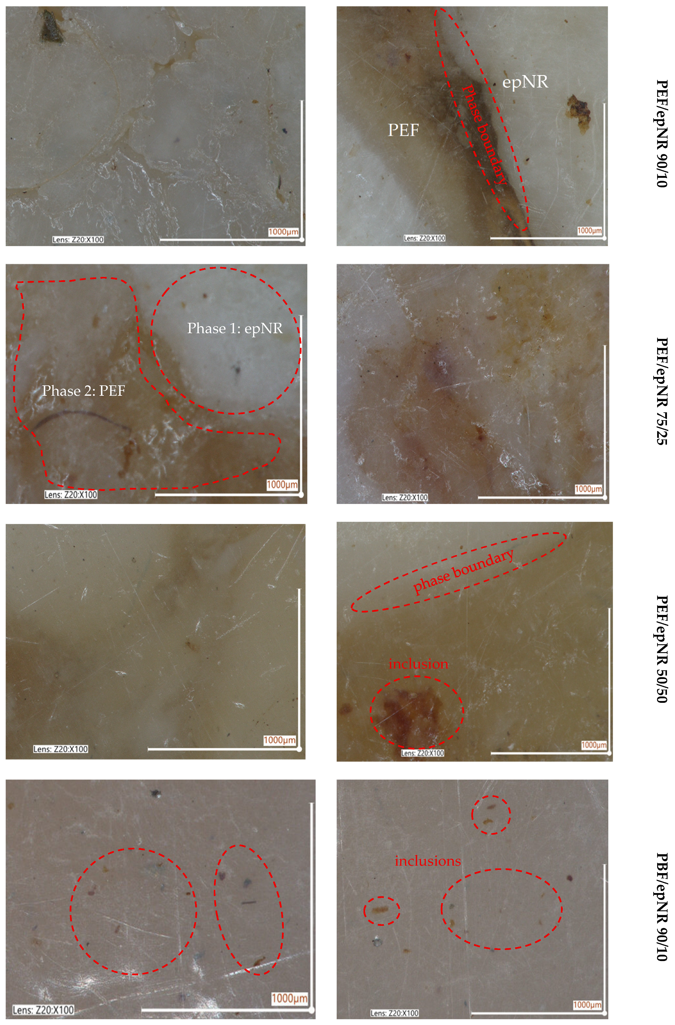 Materials 18 04040 g007a Materials 18 04040 g007a