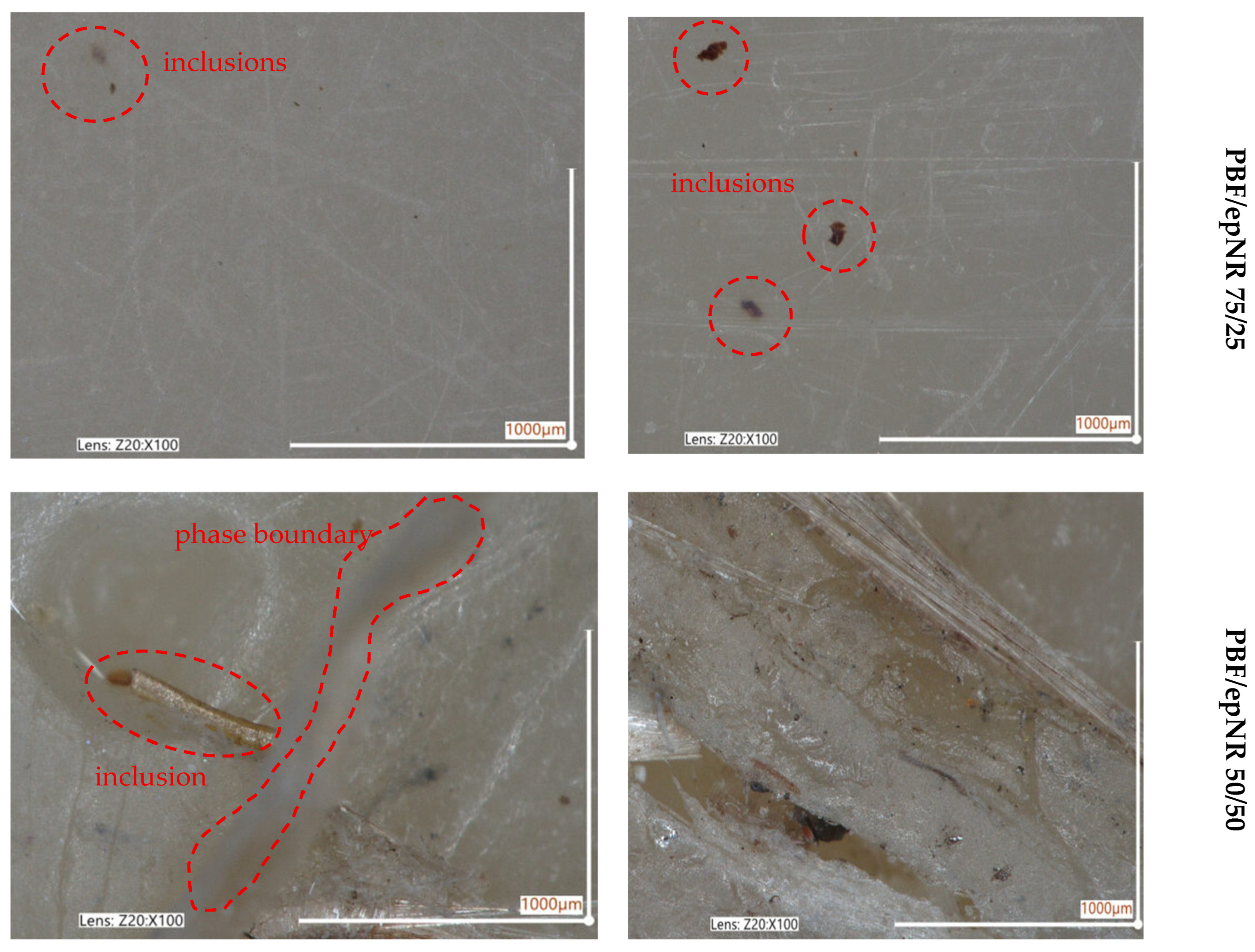 Materials 18 04040 g007b Materials 18 04040 g007b