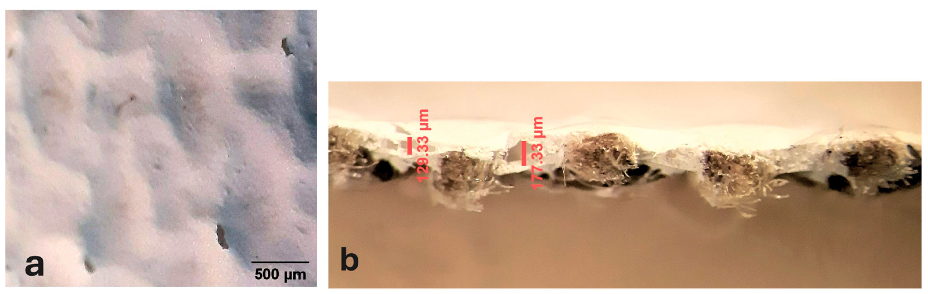 Materials 18 04041 g004