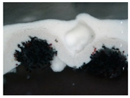 Materials 18 04041 i001