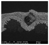 Materials 18 04041 i003