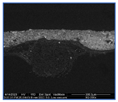 Materials 18 04041 i006