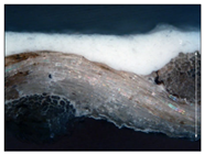 Materials 18 04041 i010