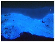 Materials 18 04041 i011