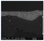 Materials 18 04041 i012