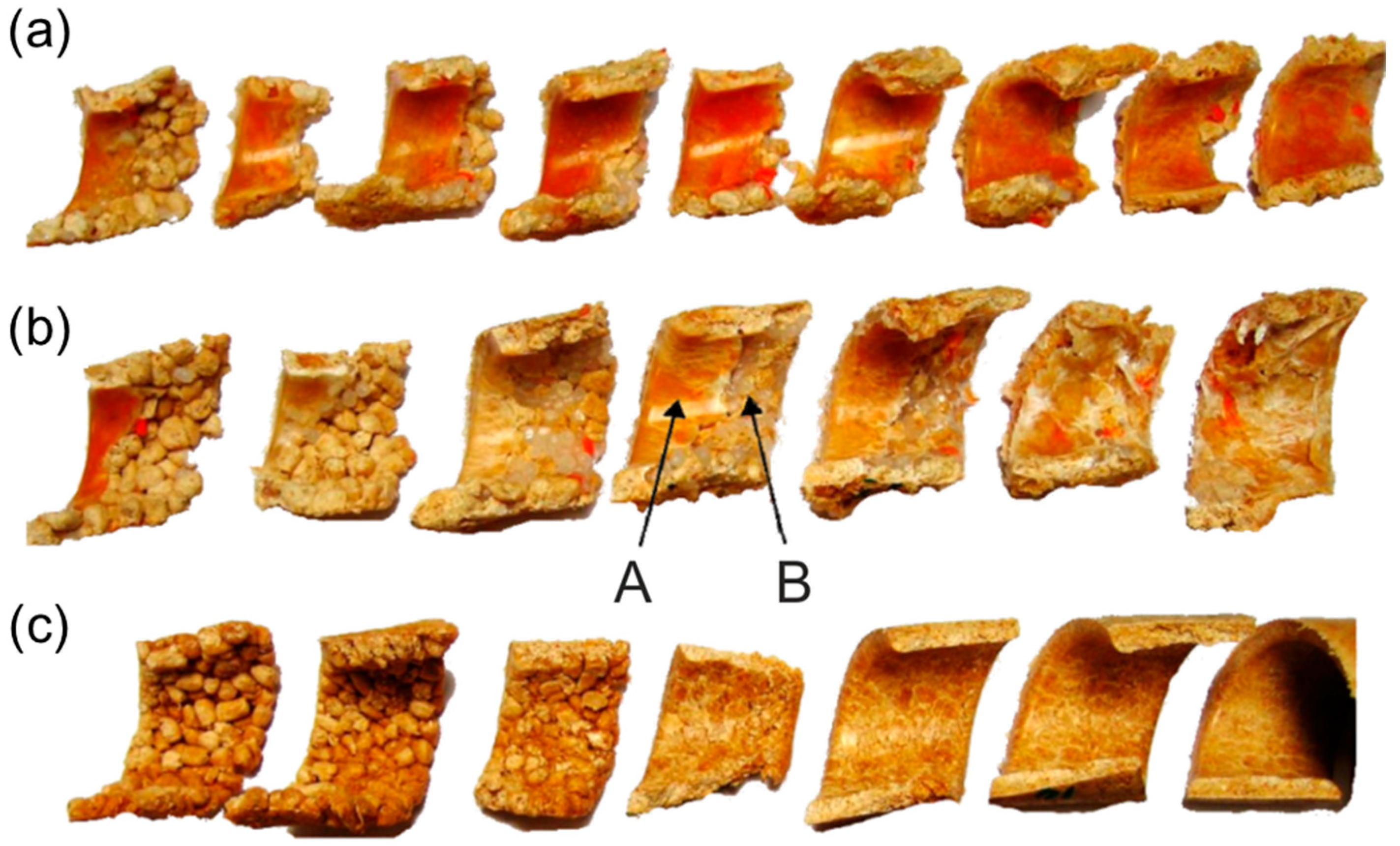 Materials 18 04042 g009 Materials 18 04042 g009