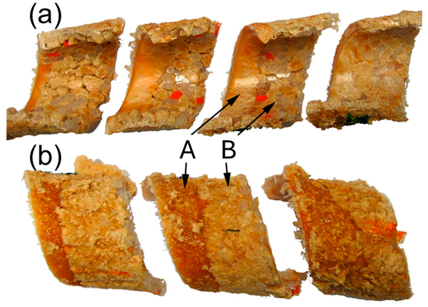 Materials 18 04042 g010 Materials 18 04042 g010