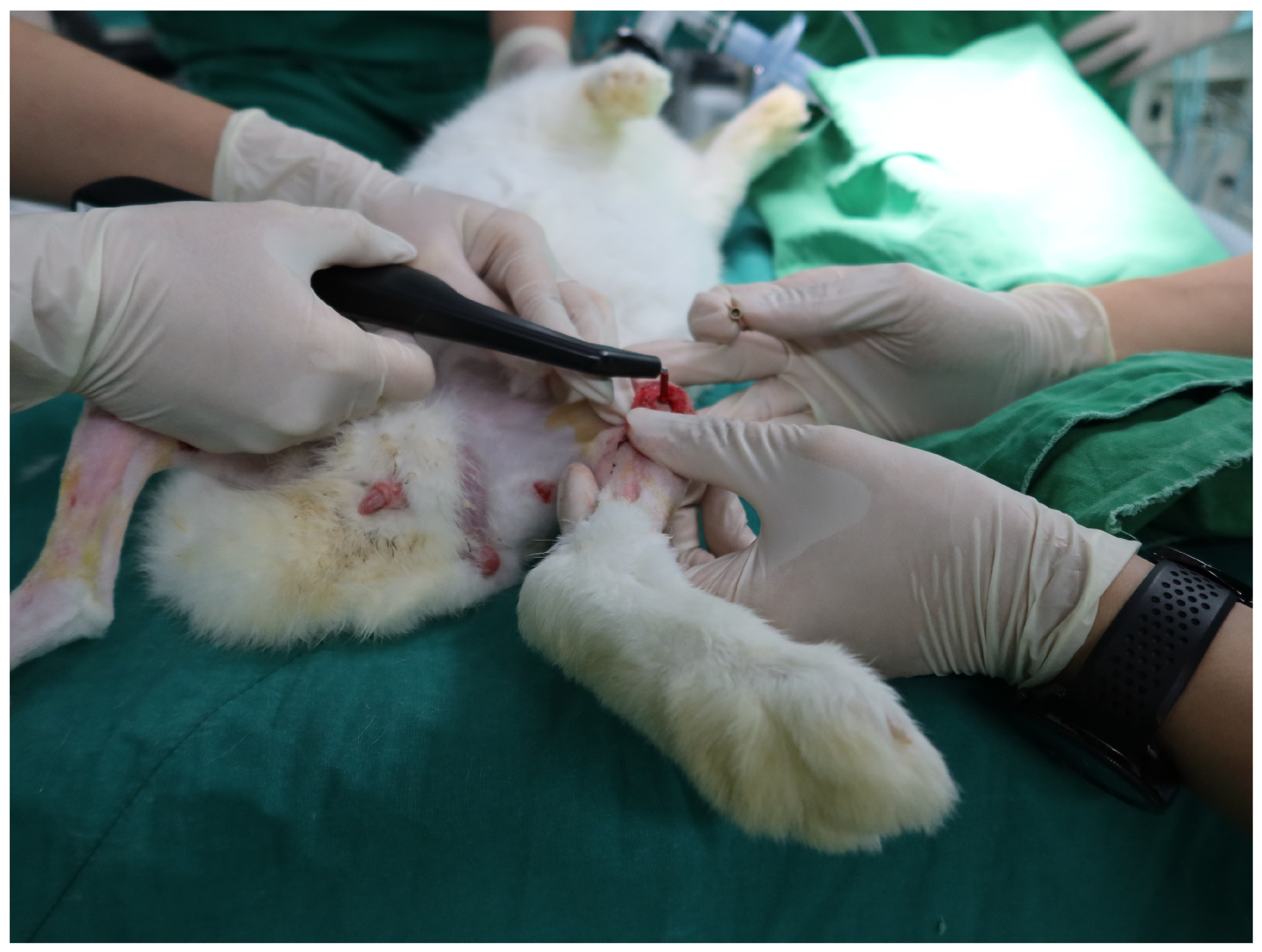 Materials 18 04048 g004