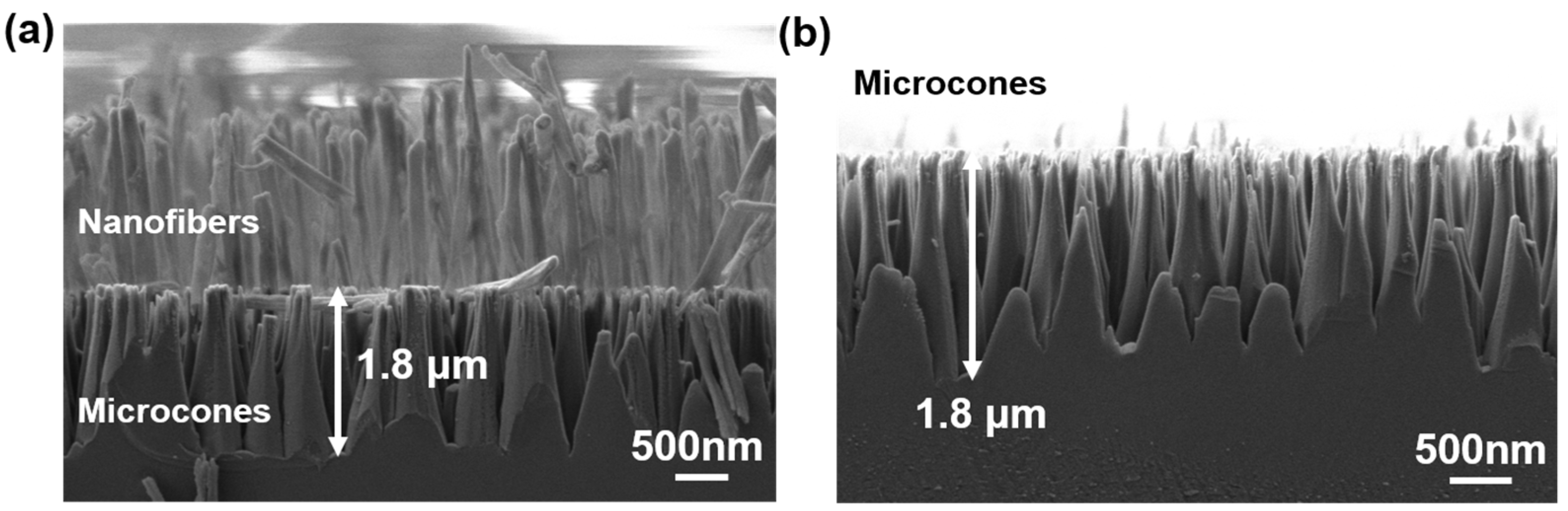 Materials 18 04054 g004