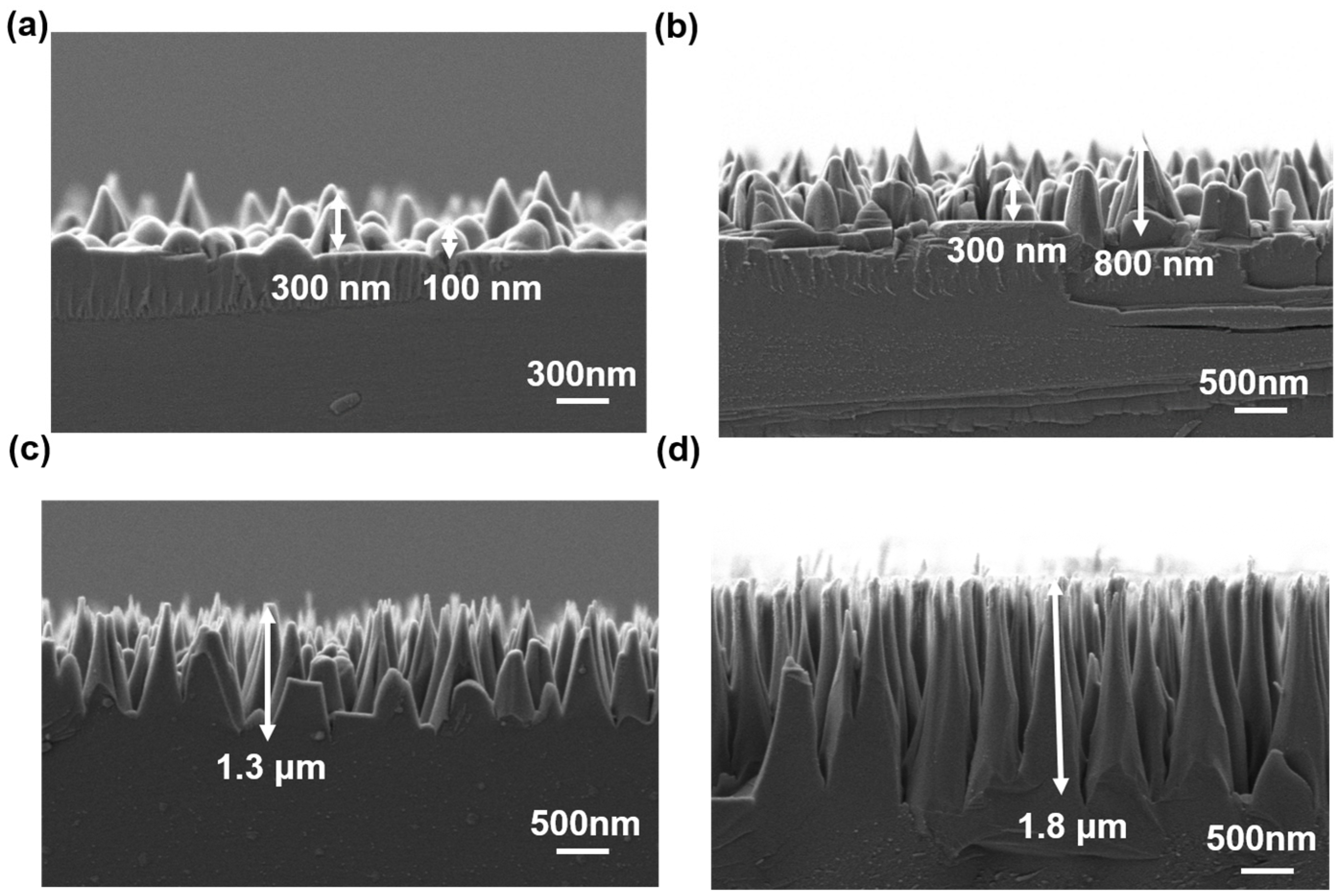 Materials 18 04054 g005