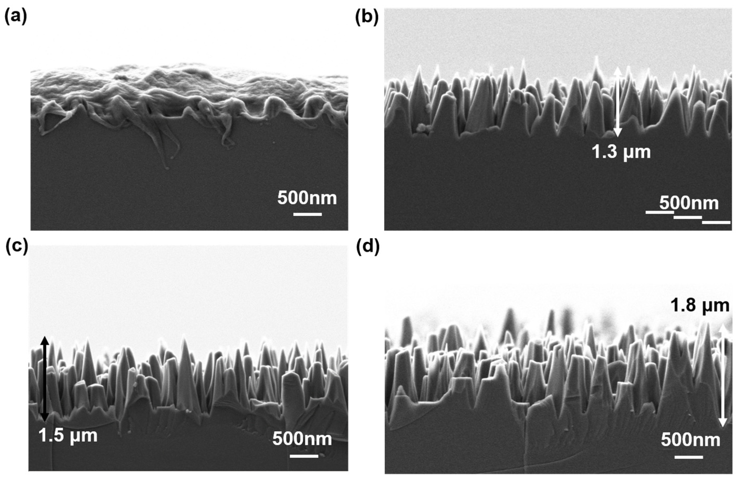 Materials 18 04054 g006