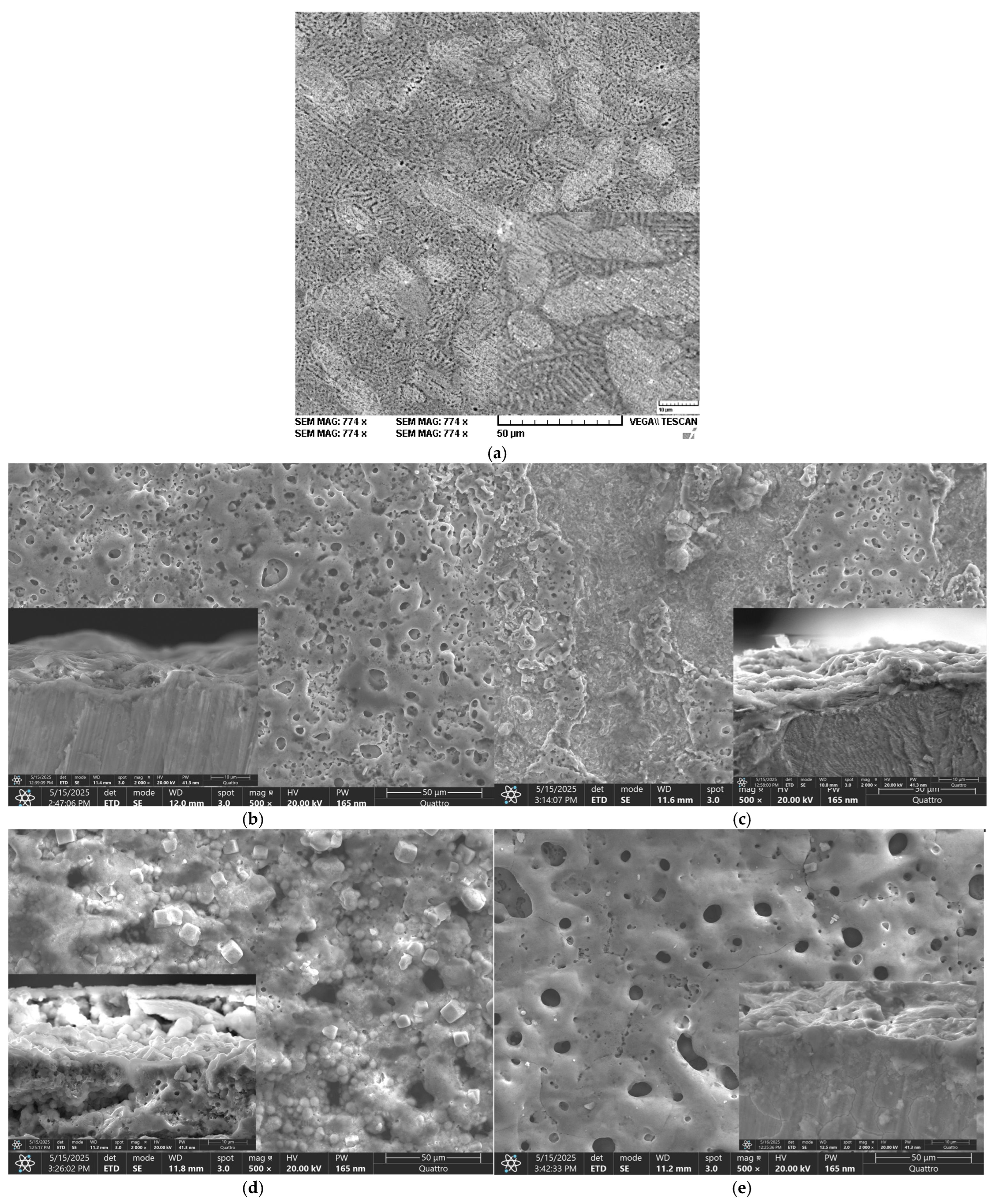 Materials 18 04064 g001