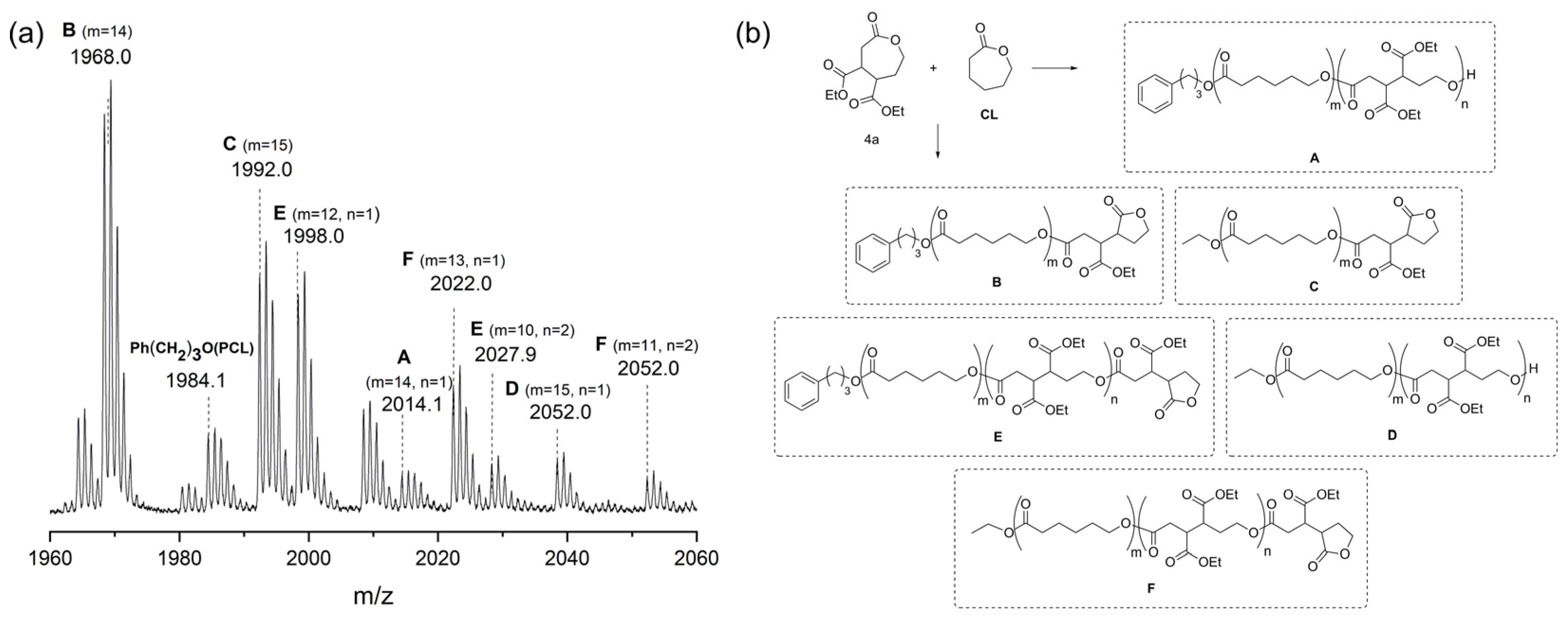Materials 18 04067 g001