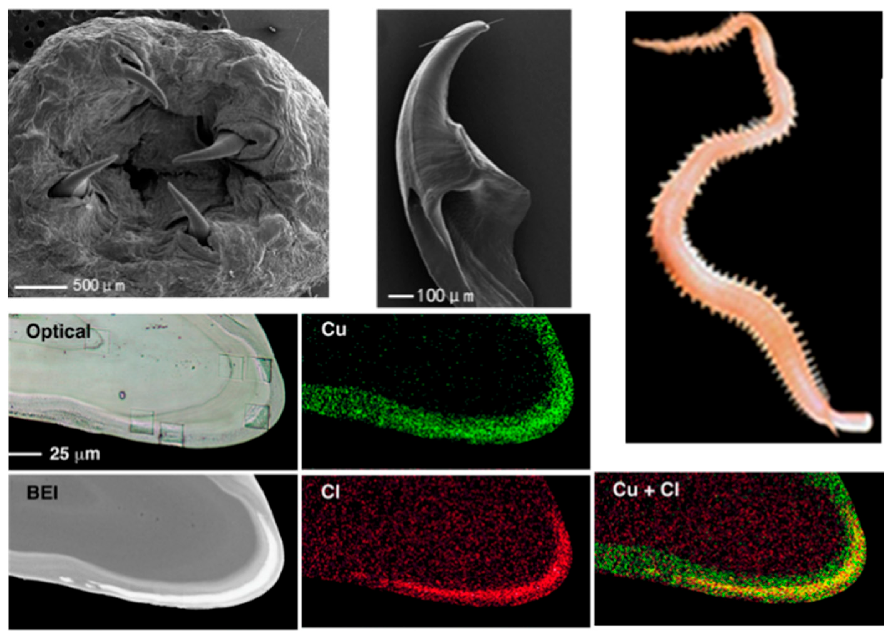 Materials 18 04069 g002 Materials 18 04069 g002