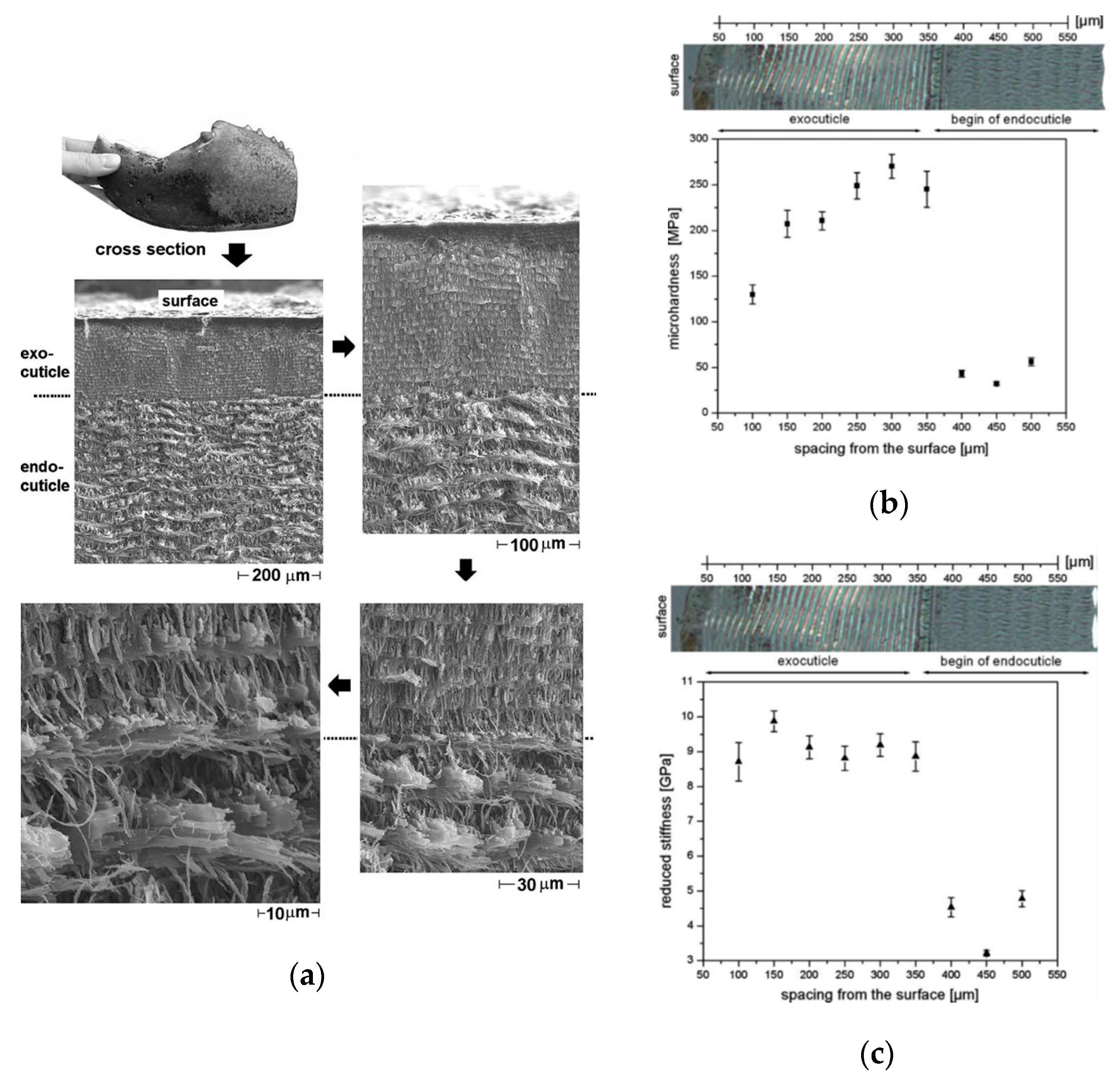 Materials 18 04069 g005 Materials 18 04069 g005