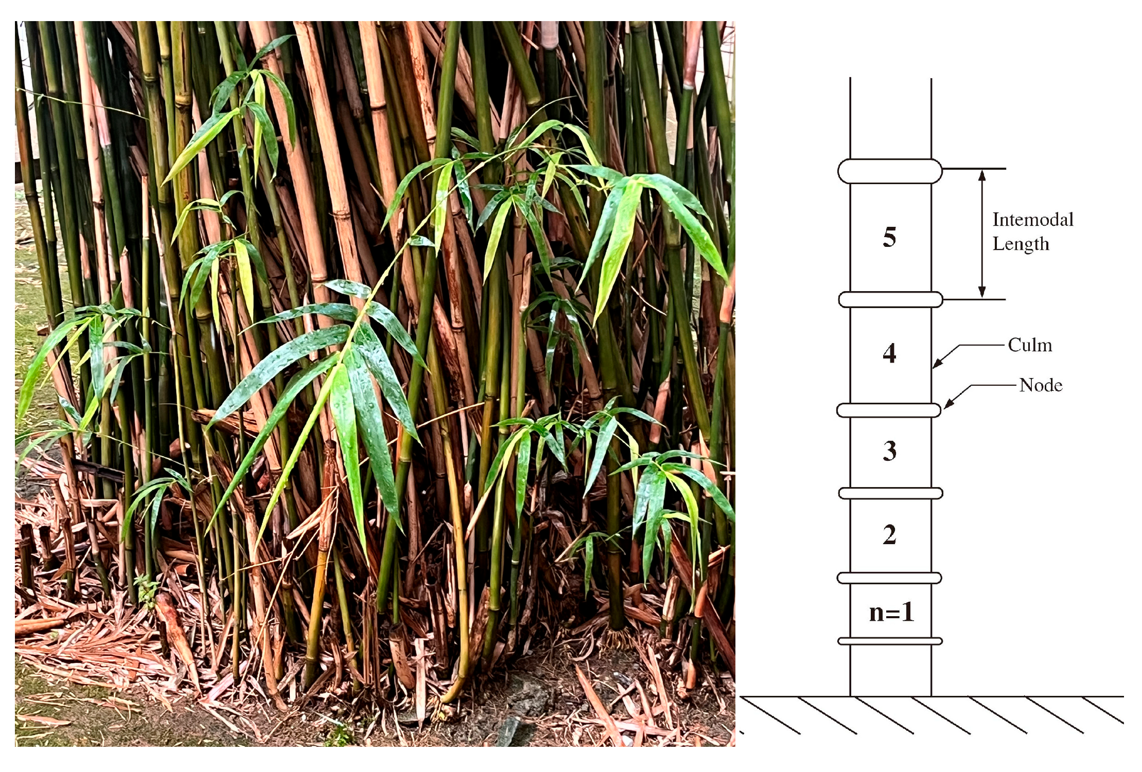 Materials 18 04069 g006 Materials 18 04069 g006