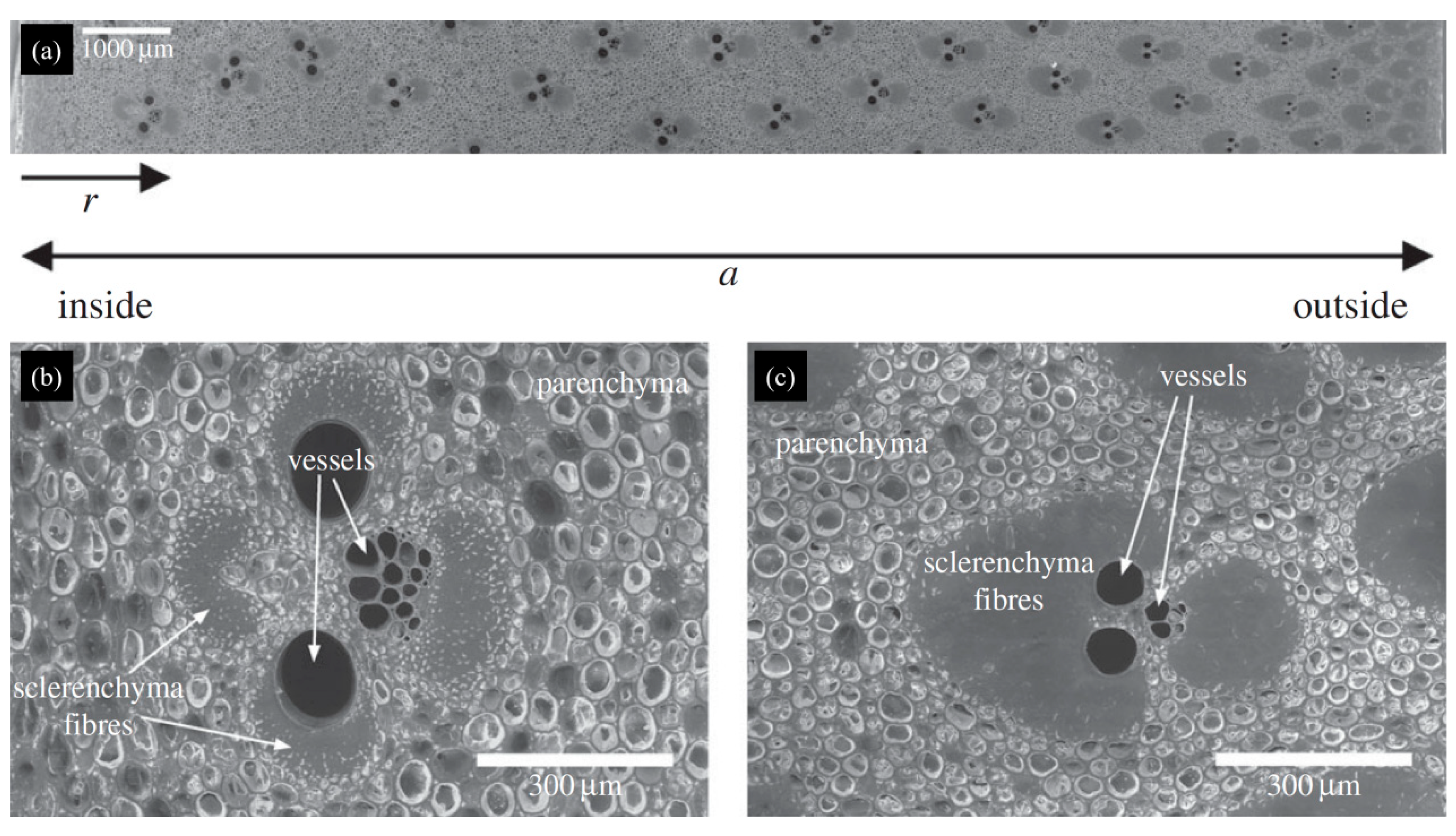 Materials 18 04069 g007 Materials 18 04069 g007