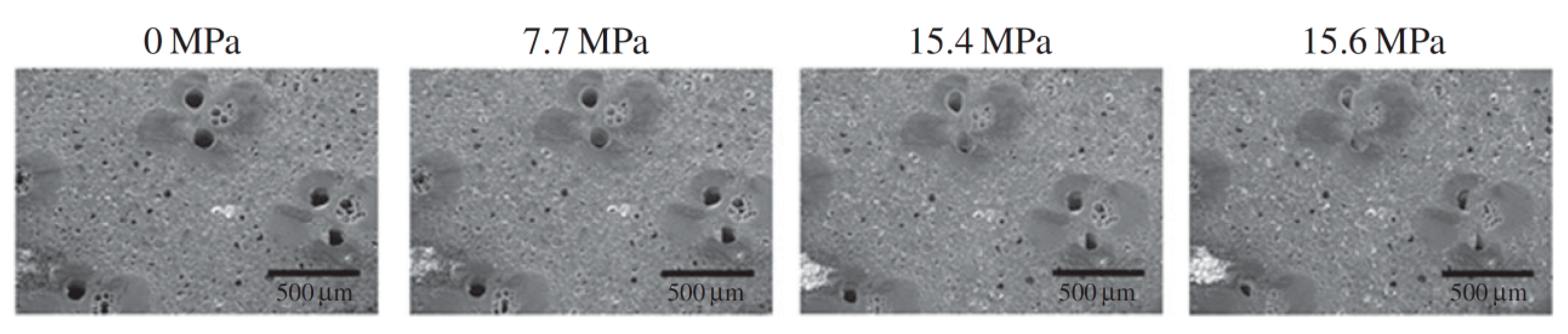 Materials 18 04069 g011 Materials 18 04069 g011