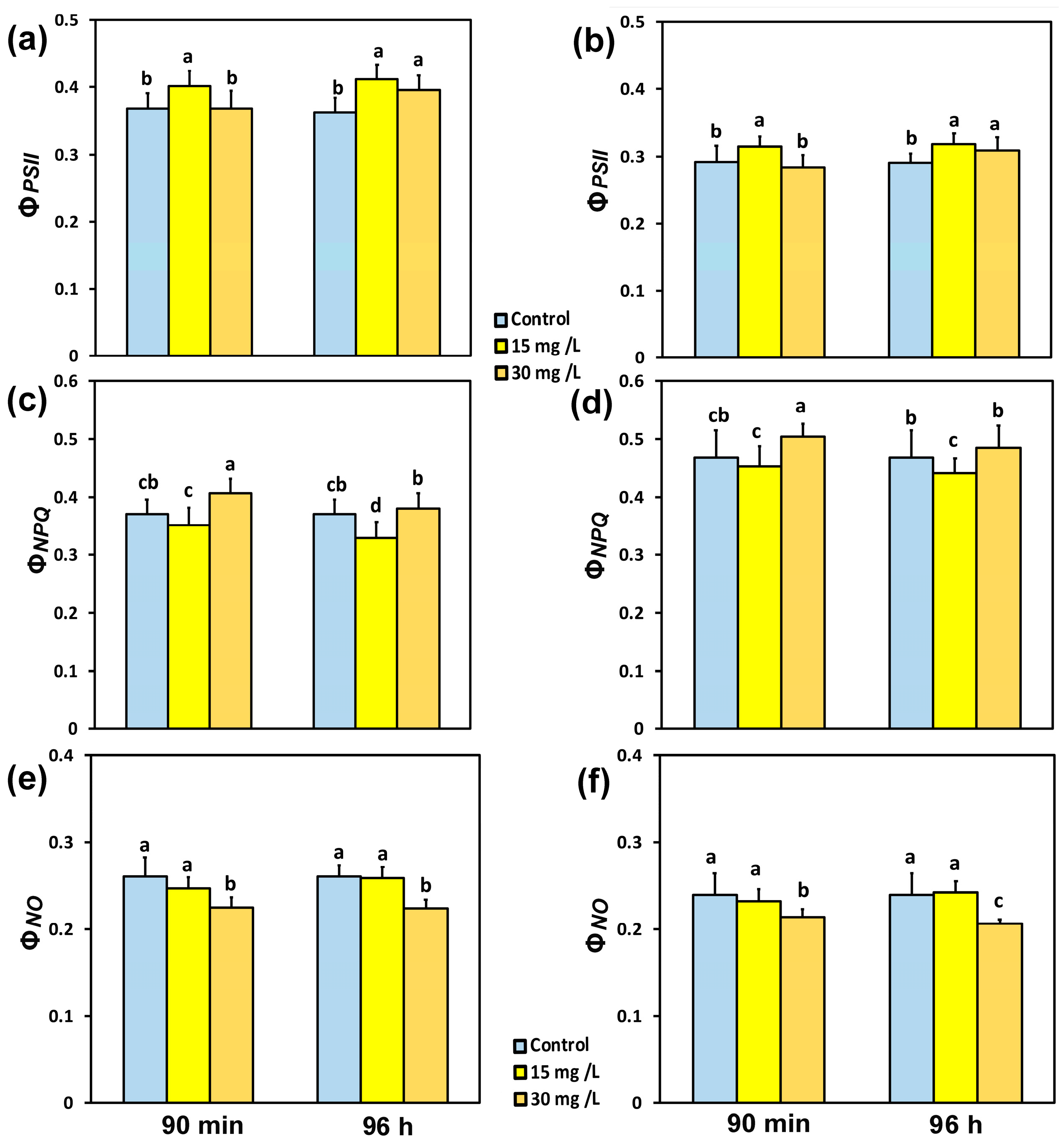 Materials 18 04078 g003 Materials 18 04078 g003
