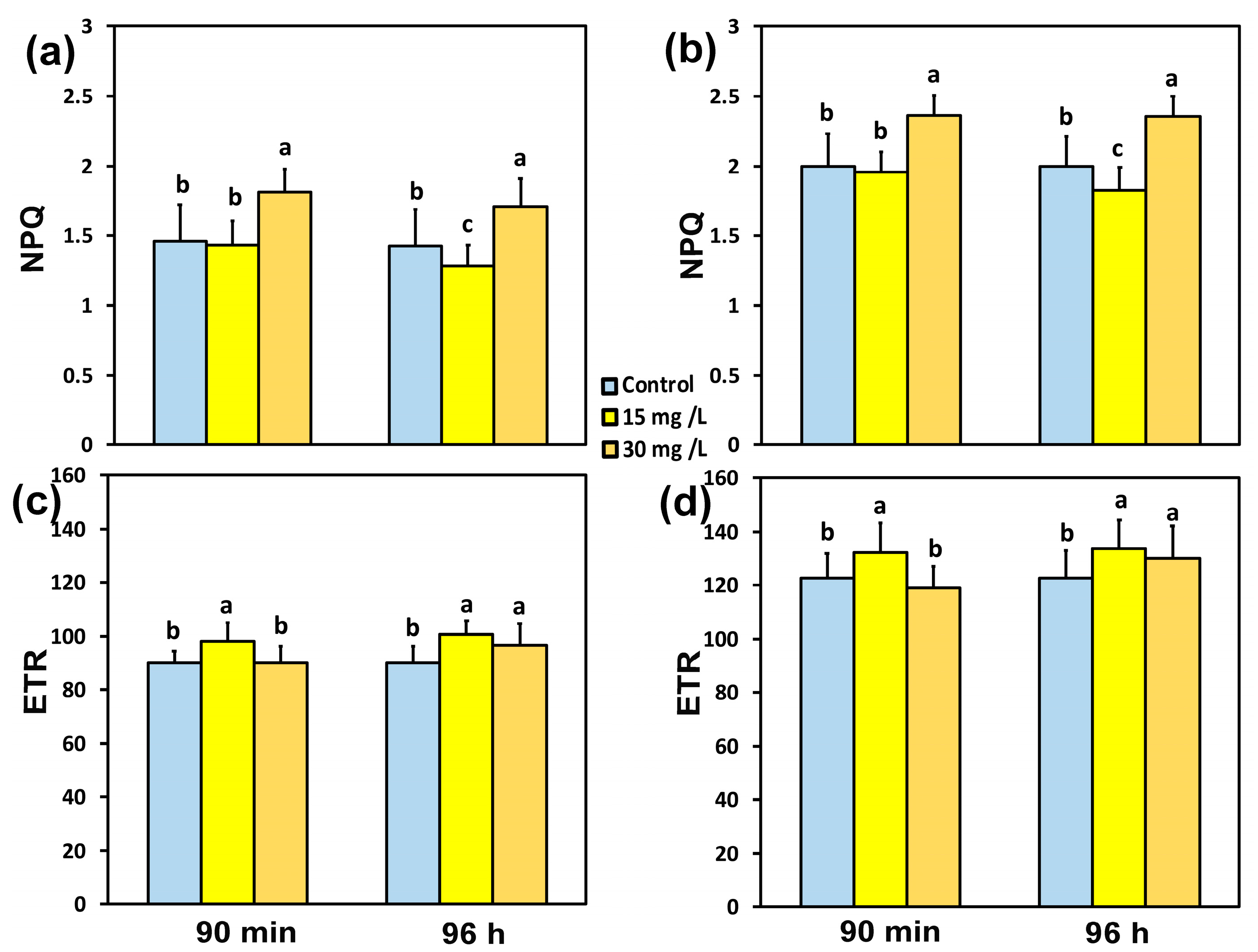 Materials 18 04078 g005 Materials 18 04078 g005